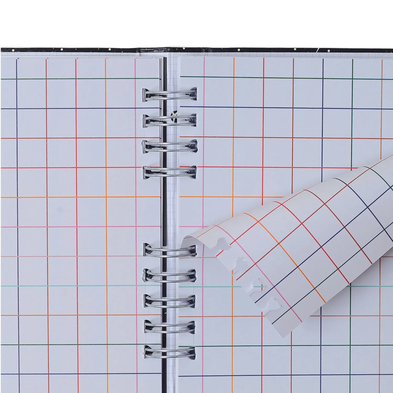 Caderno Organizador Libélulas Pautado & Pontado 17x24 Azul