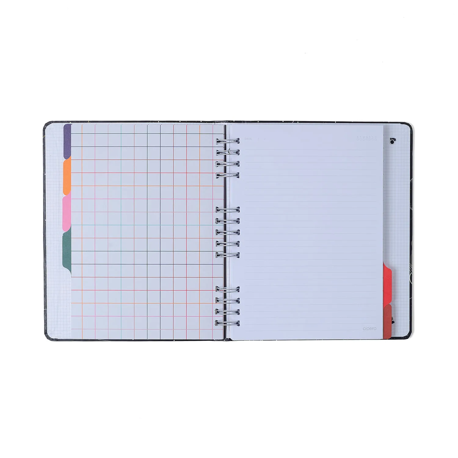 Caderno Organizador Libélulas Pautado & Pontado 17x24 Azul