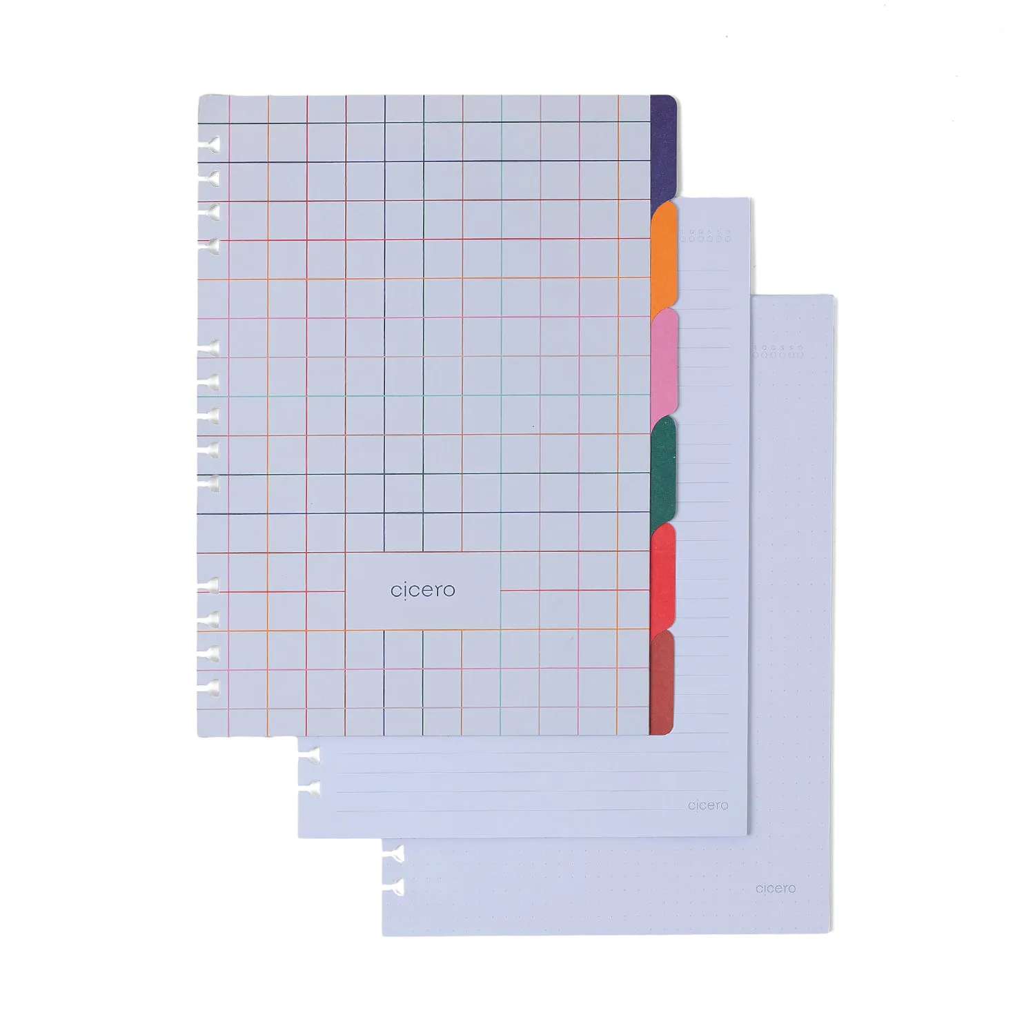 Caderno Organizador Libélulas Pautado & Pontado 17x24 Azul