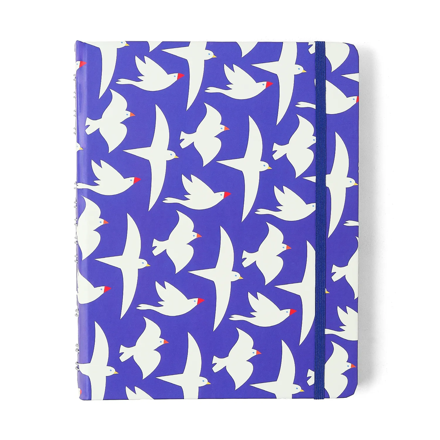 Caderno Organizador Litoral Pautado & Pontado 17X24 Revoada Azul