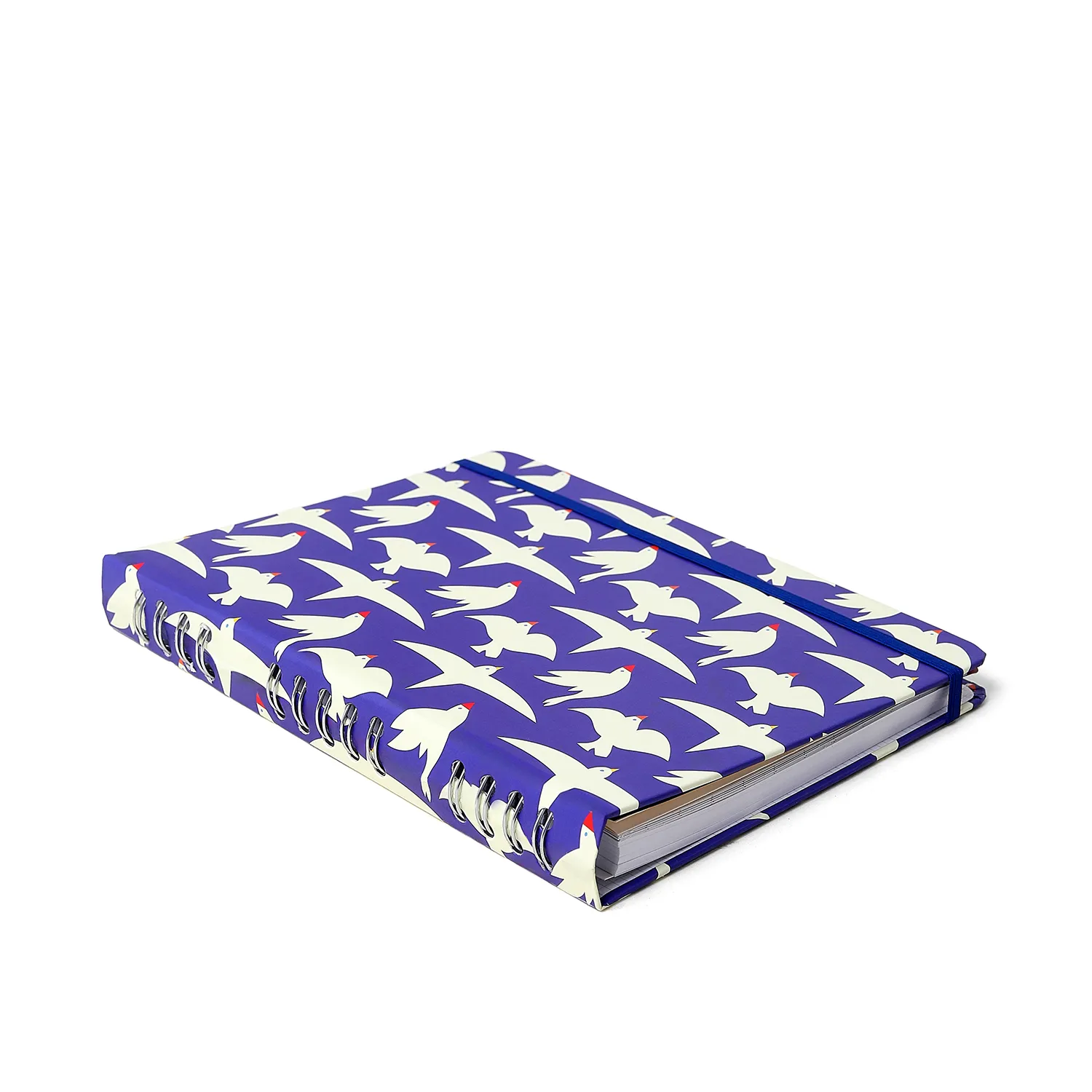 Caderno Organizador Litoral Pautado & Pontado 17X24 Revoada Azul