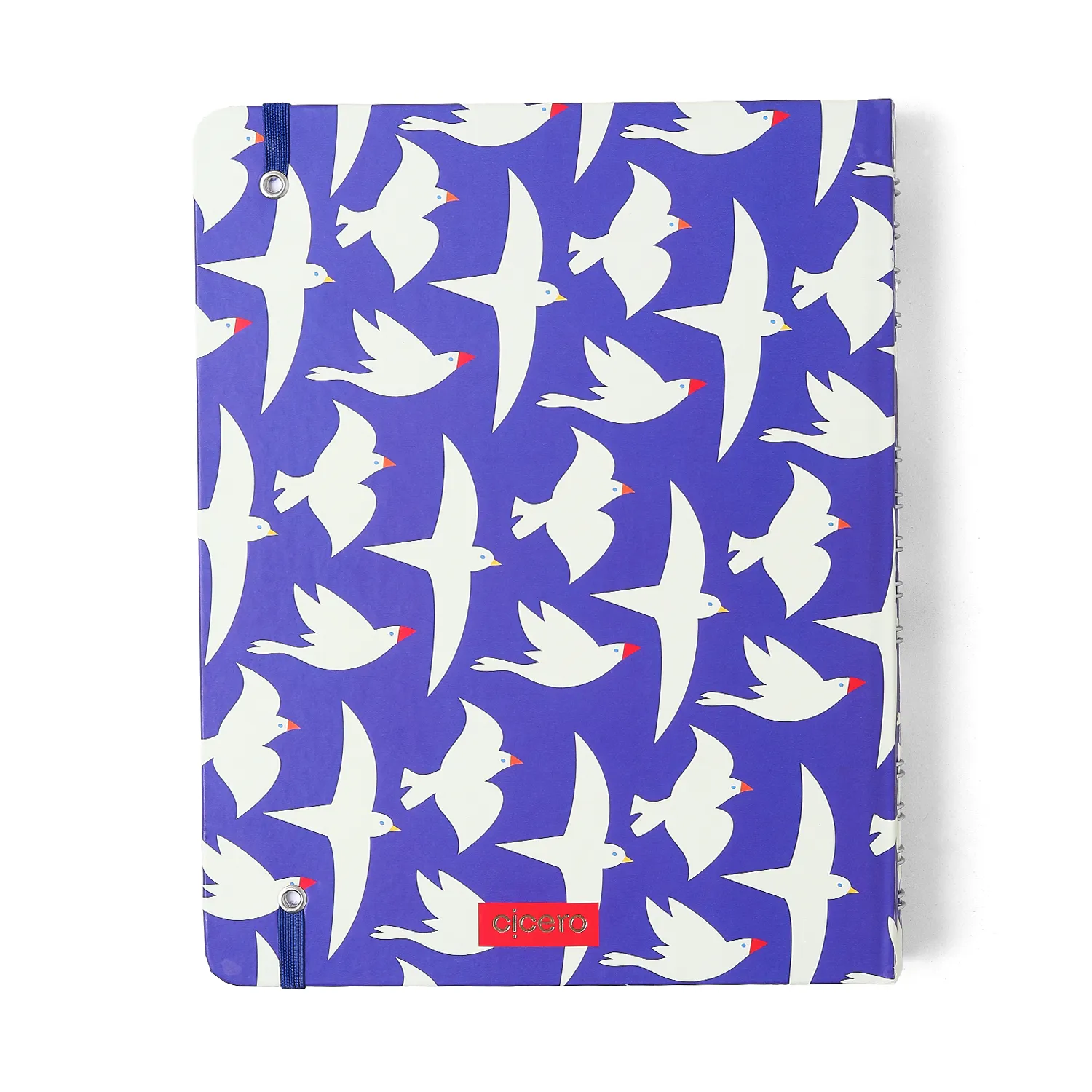 Caderno Organizador Litoral Pautado & Pontado 17X24 Revoada Azul