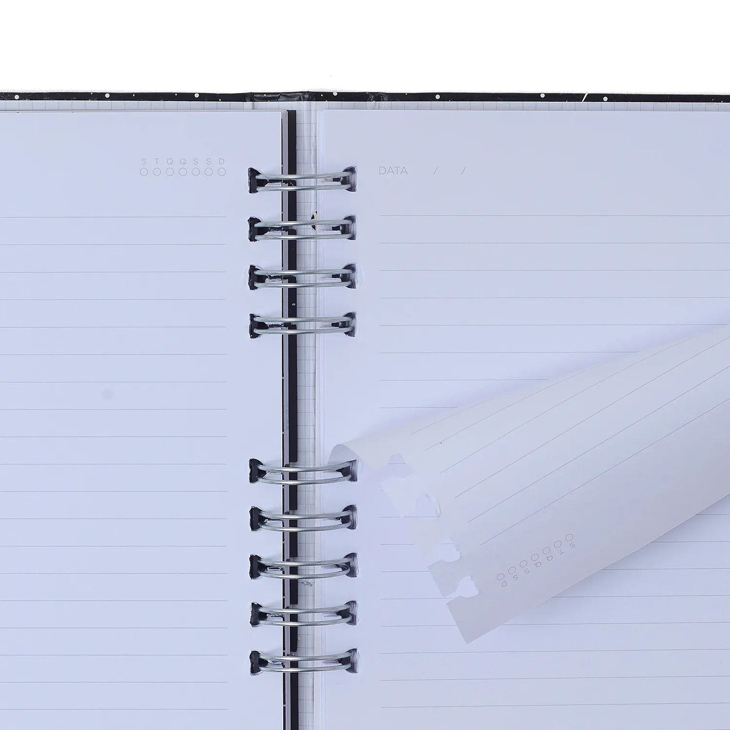 Caderno Organizador Litoral Pautado & Pontado 17X24 Revoada Azul