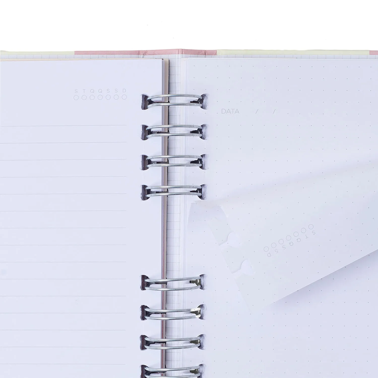 Caderno Organizador Melissa Pautado & Pontado 17x24 Max Bloomy
