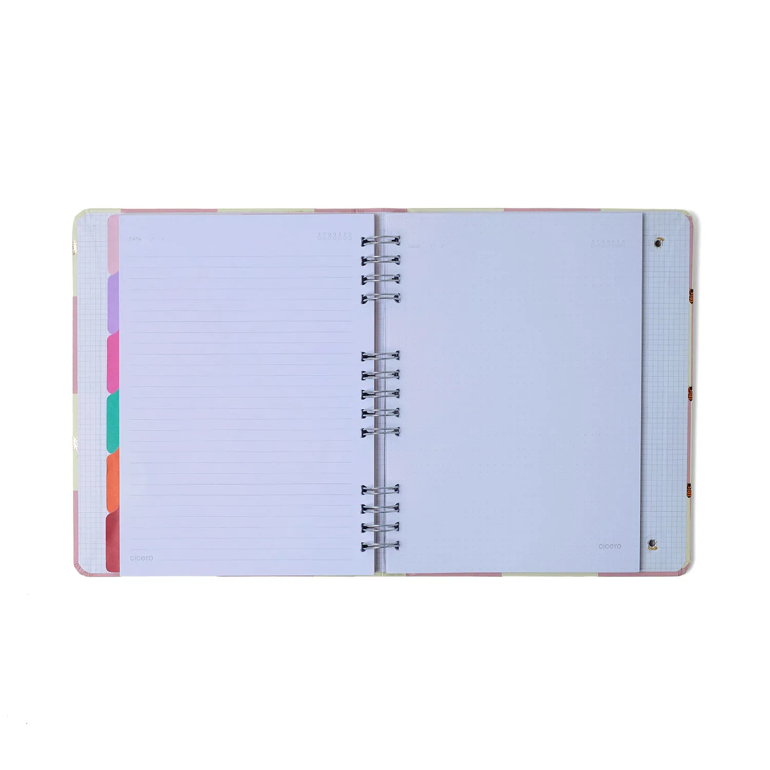 Caderno Organizador Melissa Pautado & Pontado 17x24 Max Bloomy