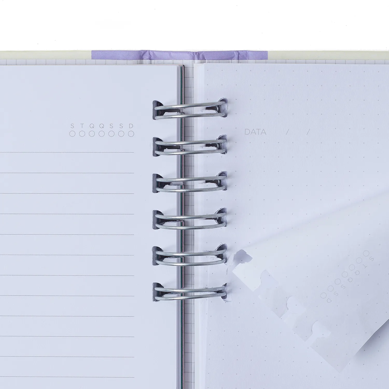 Caderno Organizador Melissa Pautado & Pontado A5 Casa das Abelhas Lilás