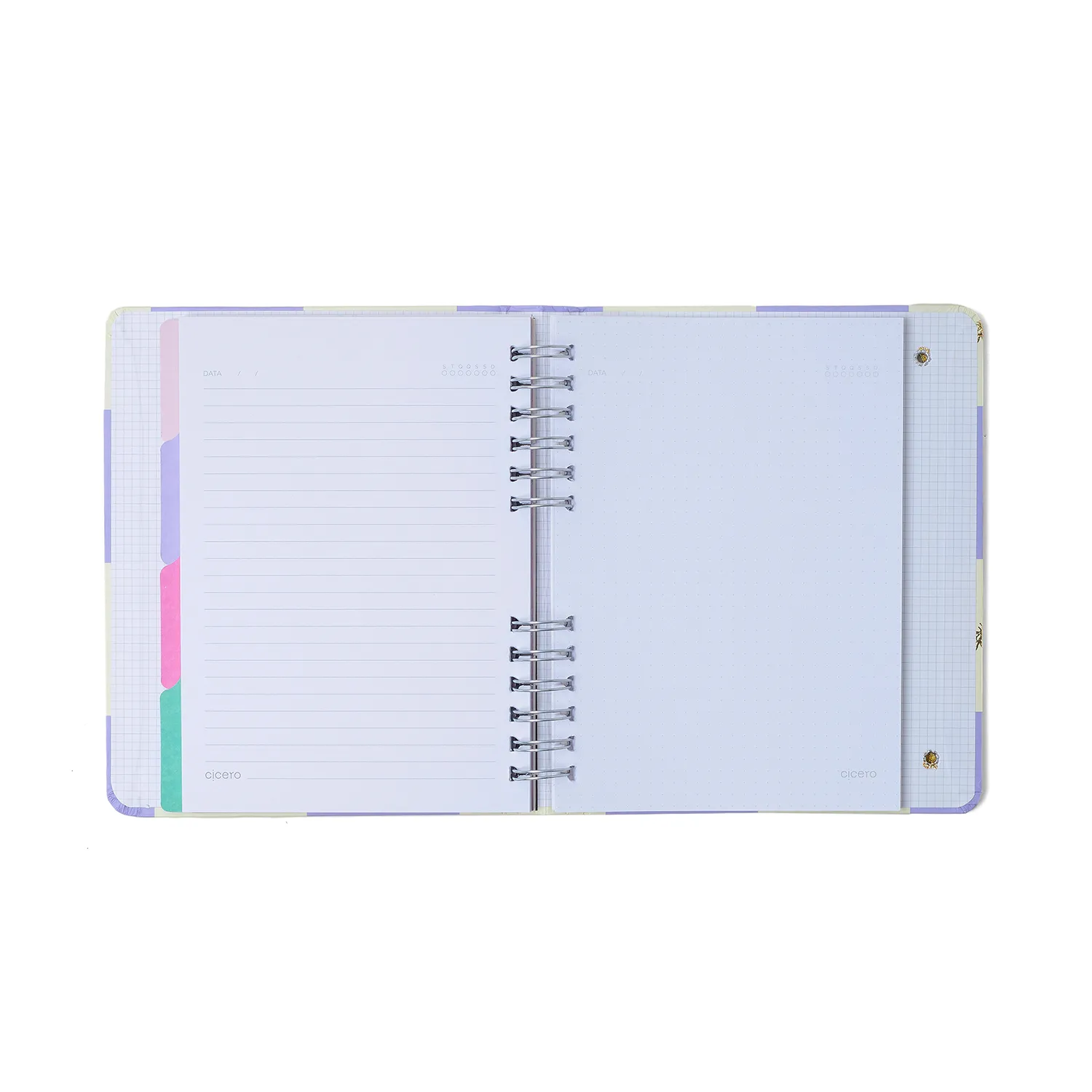 Caderno Organizador Melissa Pautado & Pontado A5 Casa das Abelhas Lilás