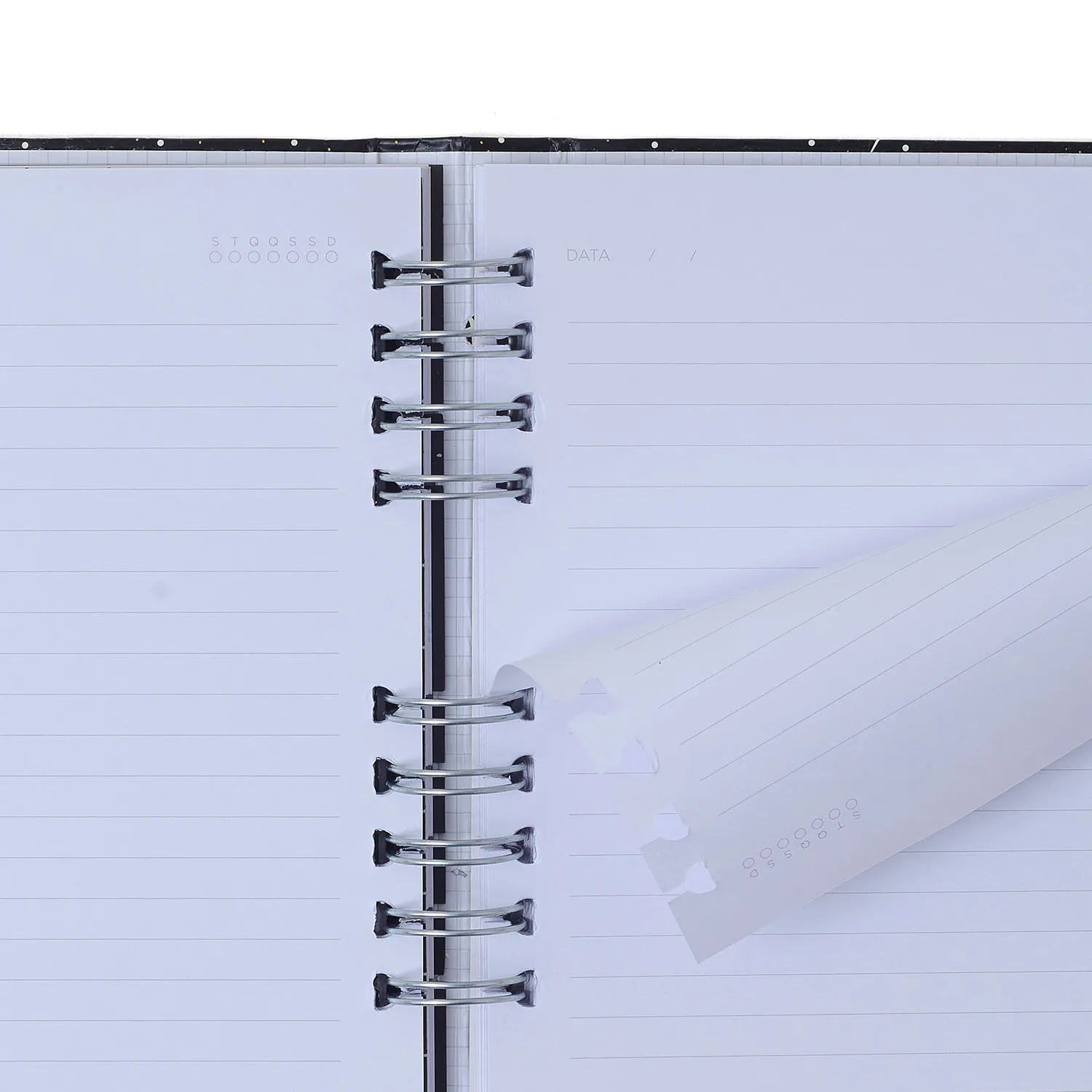 Caderno Organizador Noronha Pautado & Pontado 17x24 Peróla do Mar
