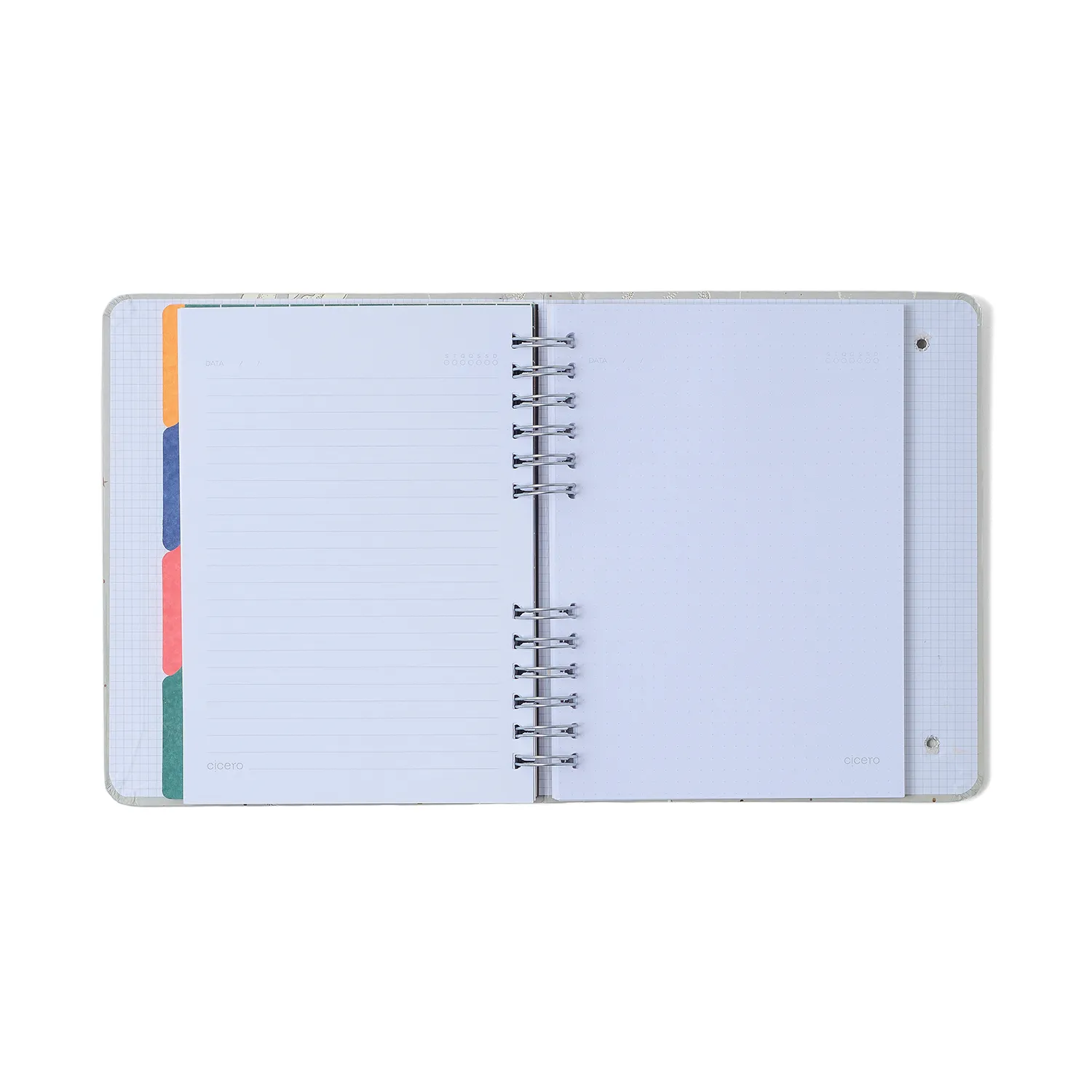 Caderno Organizador Noronha Pautado & Pontado A5 Flora Marinha