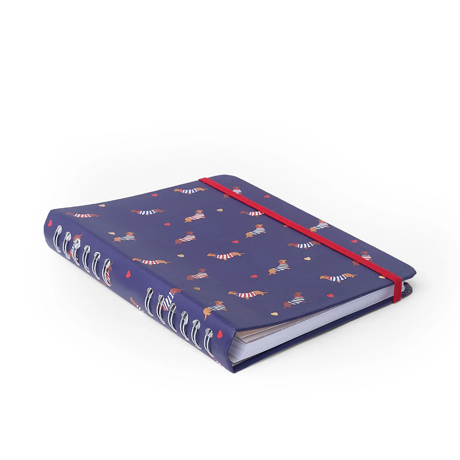 Caderno Organizador Petit Pautado & Pontado A5 Amor