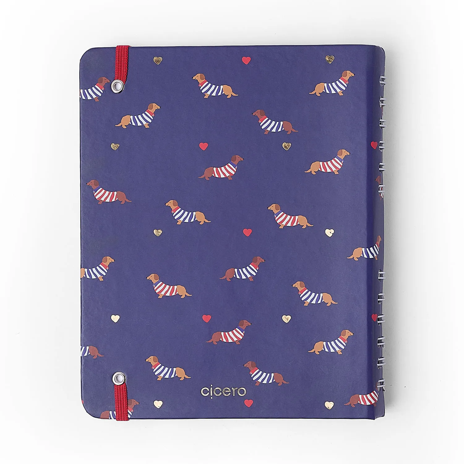 Caderno Organizador Petit Pautado & Pontado A5 Amor