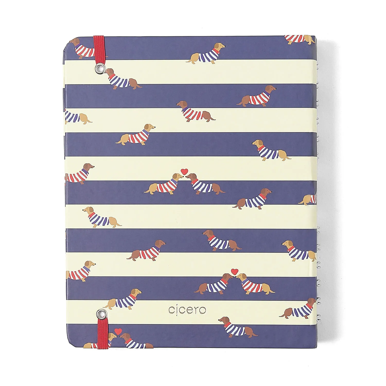 Caderno Organizador Praia Pautado & Pontado A5 Cachorros