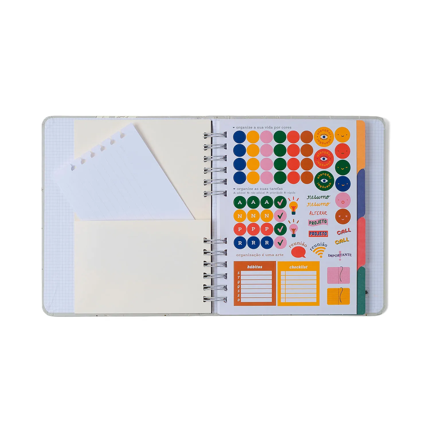 Caderno Organizador Praia Pautado & Pontado A5 Cachorros