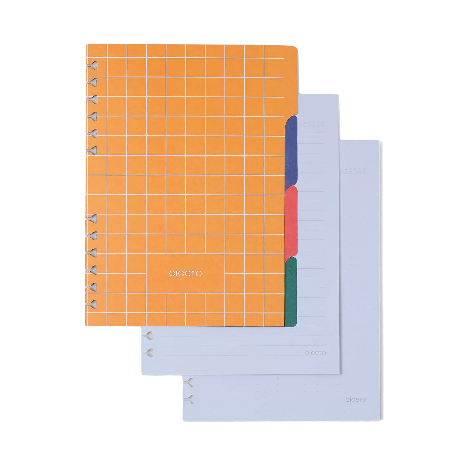 Caderno Organizador Praia Pautado & Pontado A5 Cachorros