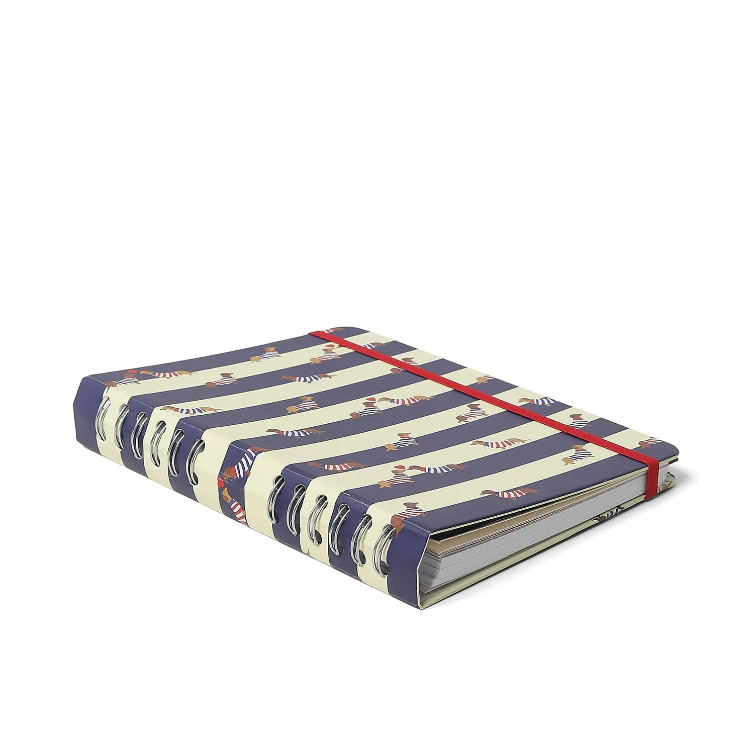 Caderno Organizador Praia Pautado & Pontado A5 Cachorros
