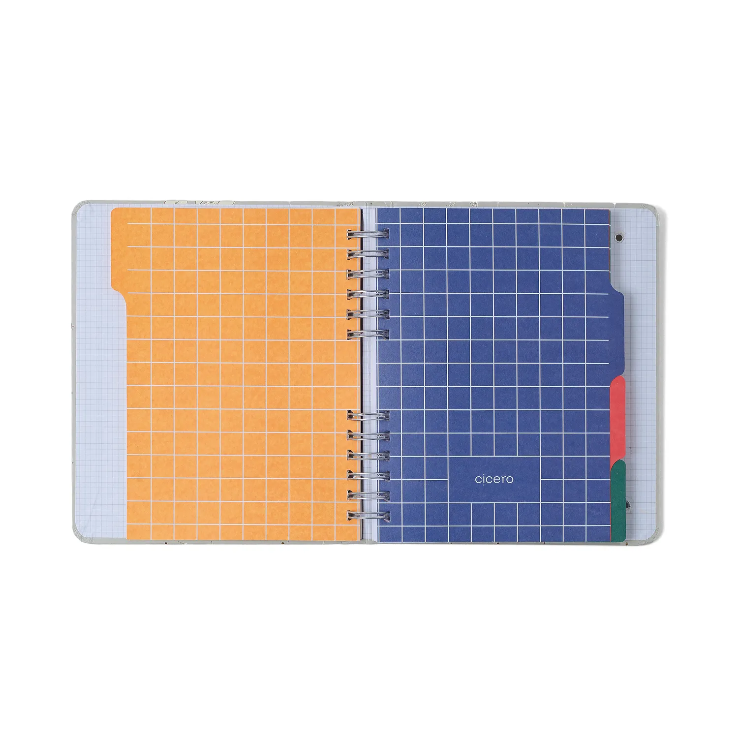 Caderno Organizador Trancoso Pautado & Pontado A5 Buquê de Sal