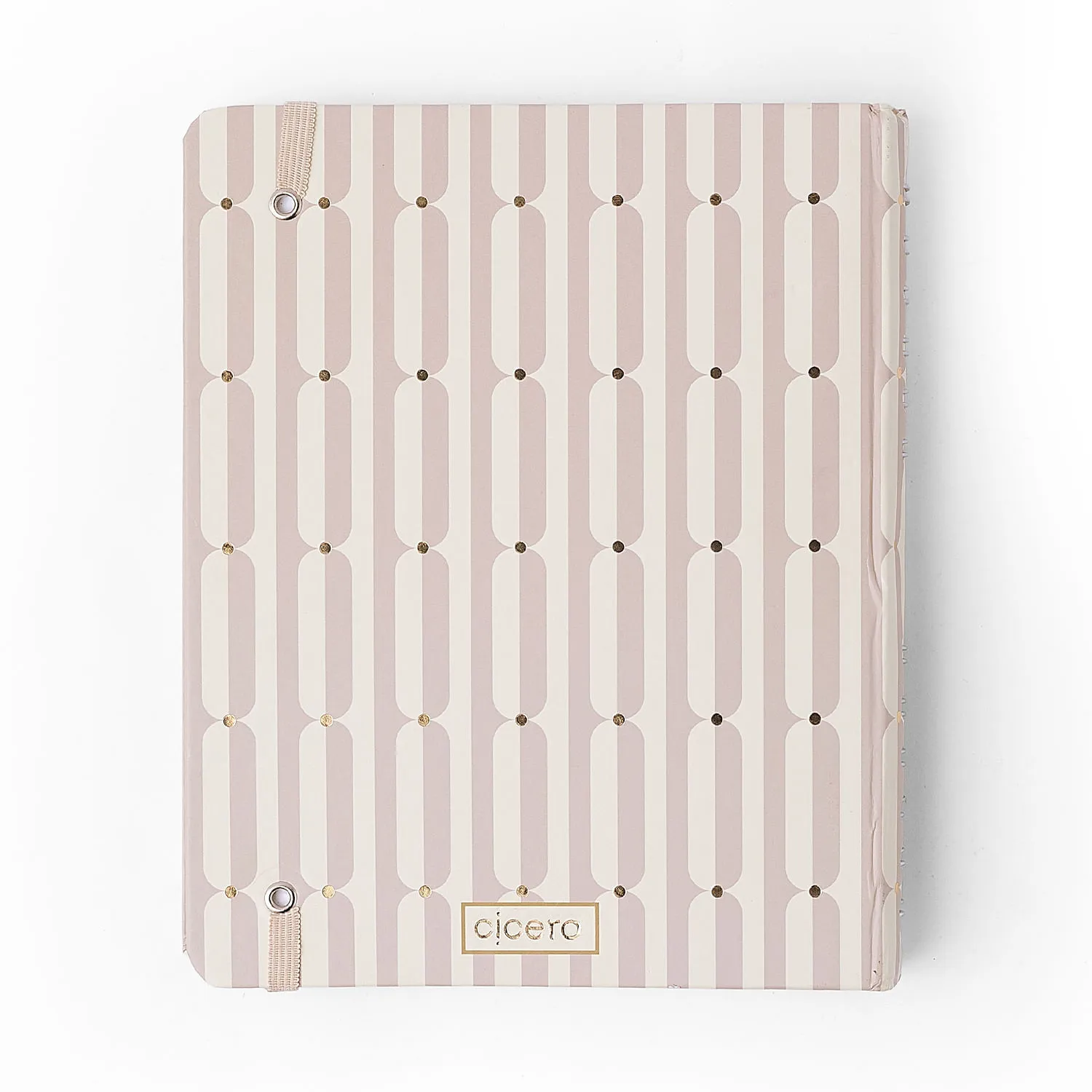 Caderno Organizador Veredas Pautado & Pontado A5 Gelo