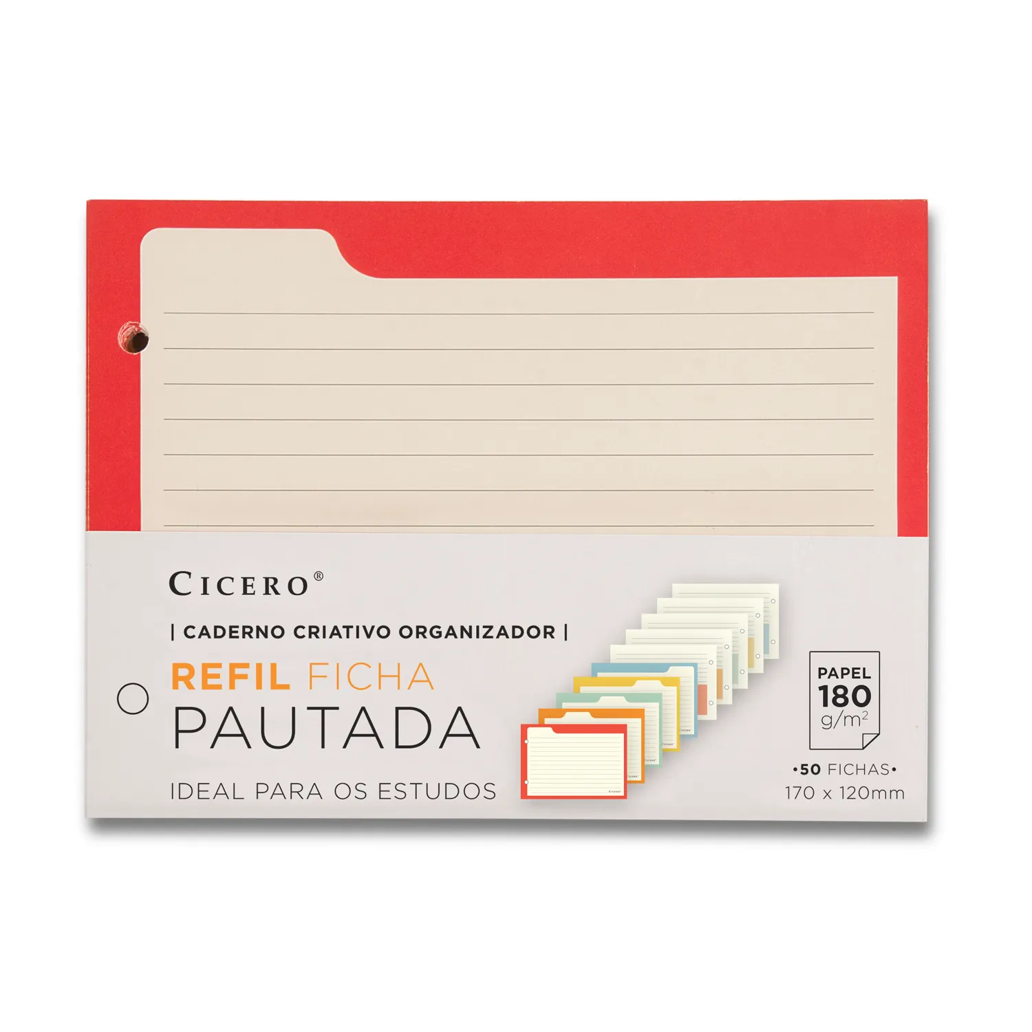 Ficha Pautada Caderno Organizador 50 FLS Offset 180g
