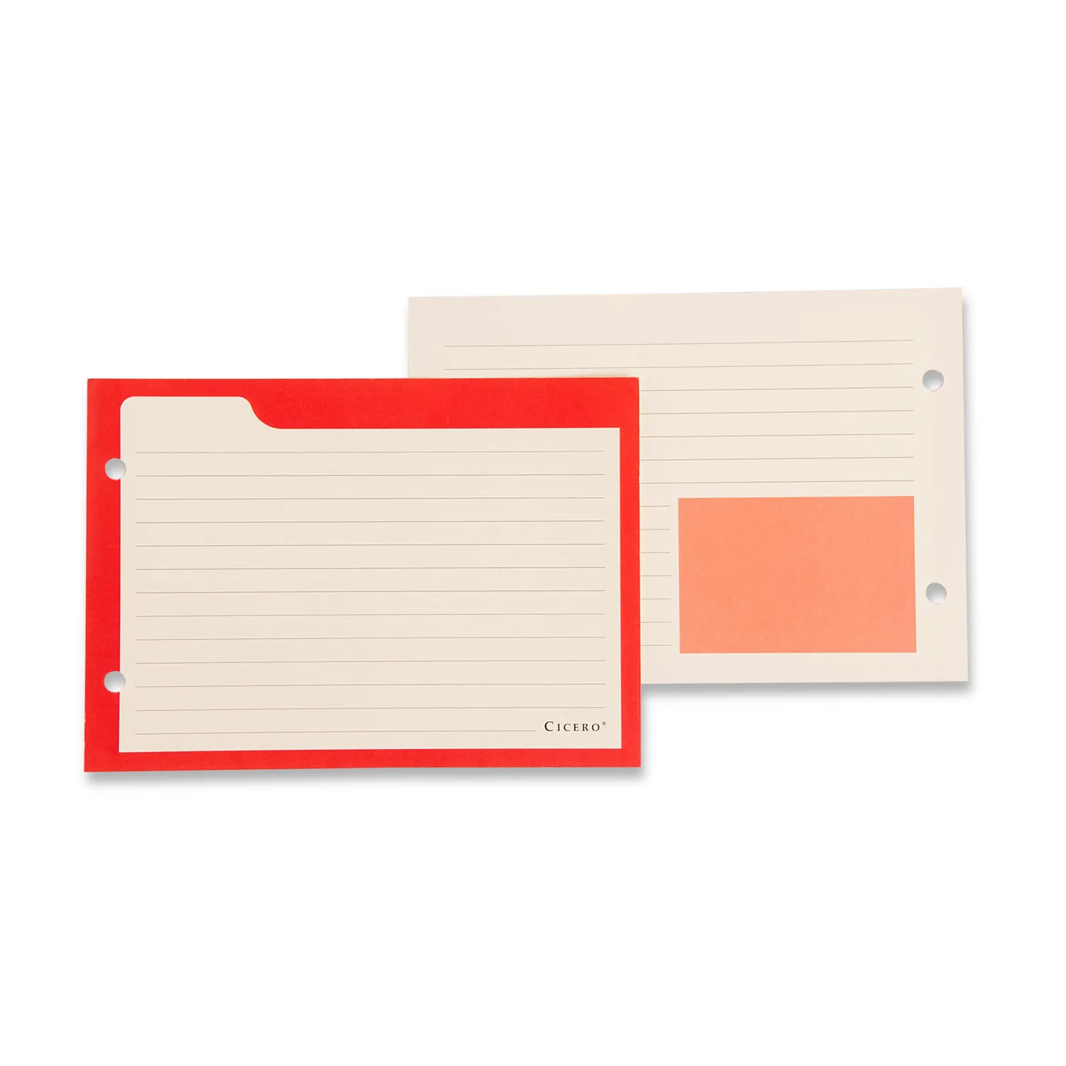 Ficha Pautada Caderno Organizador 50 FLS Offset 180g