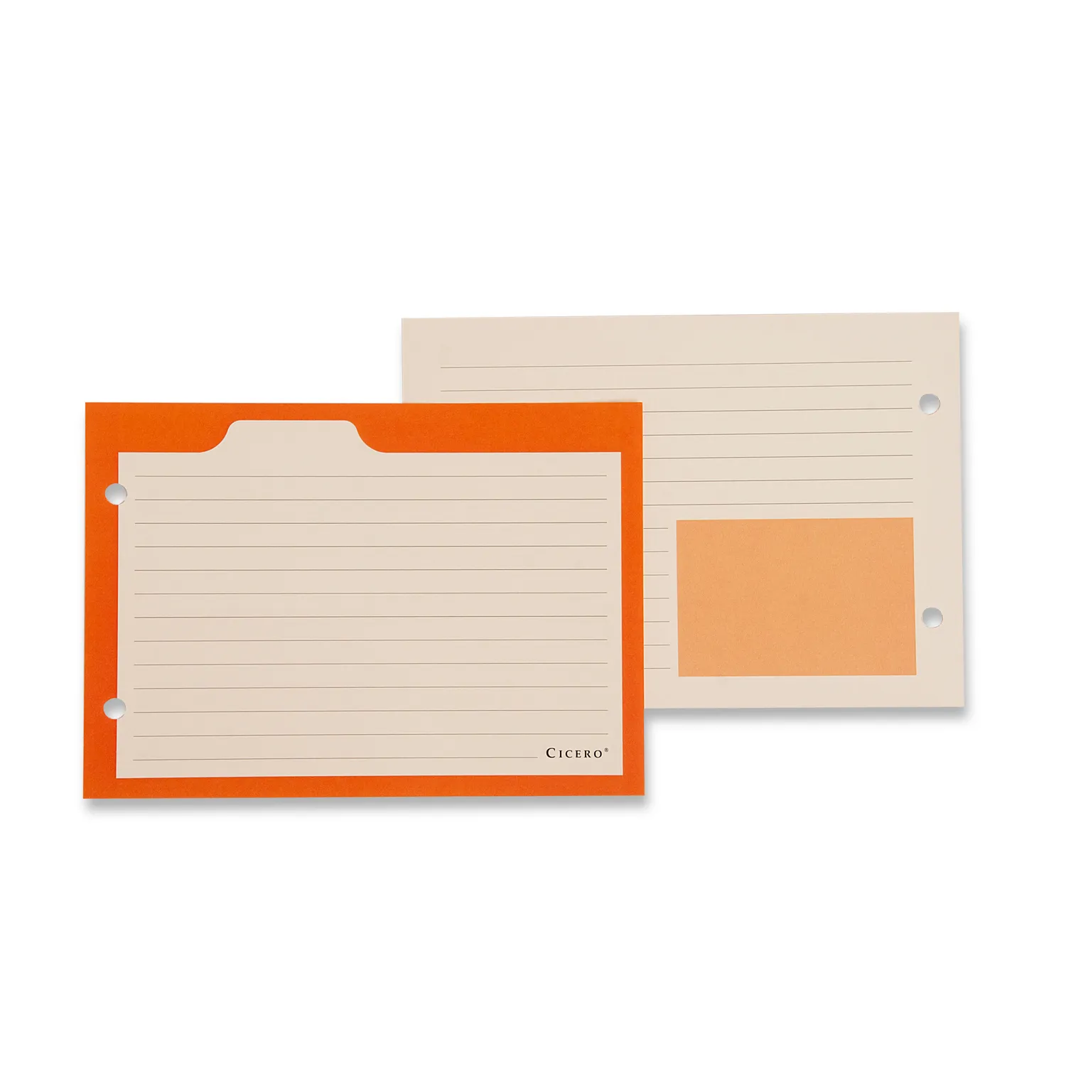 Ficha Pautada Caderno Organizador 50 FLS Offset 180g