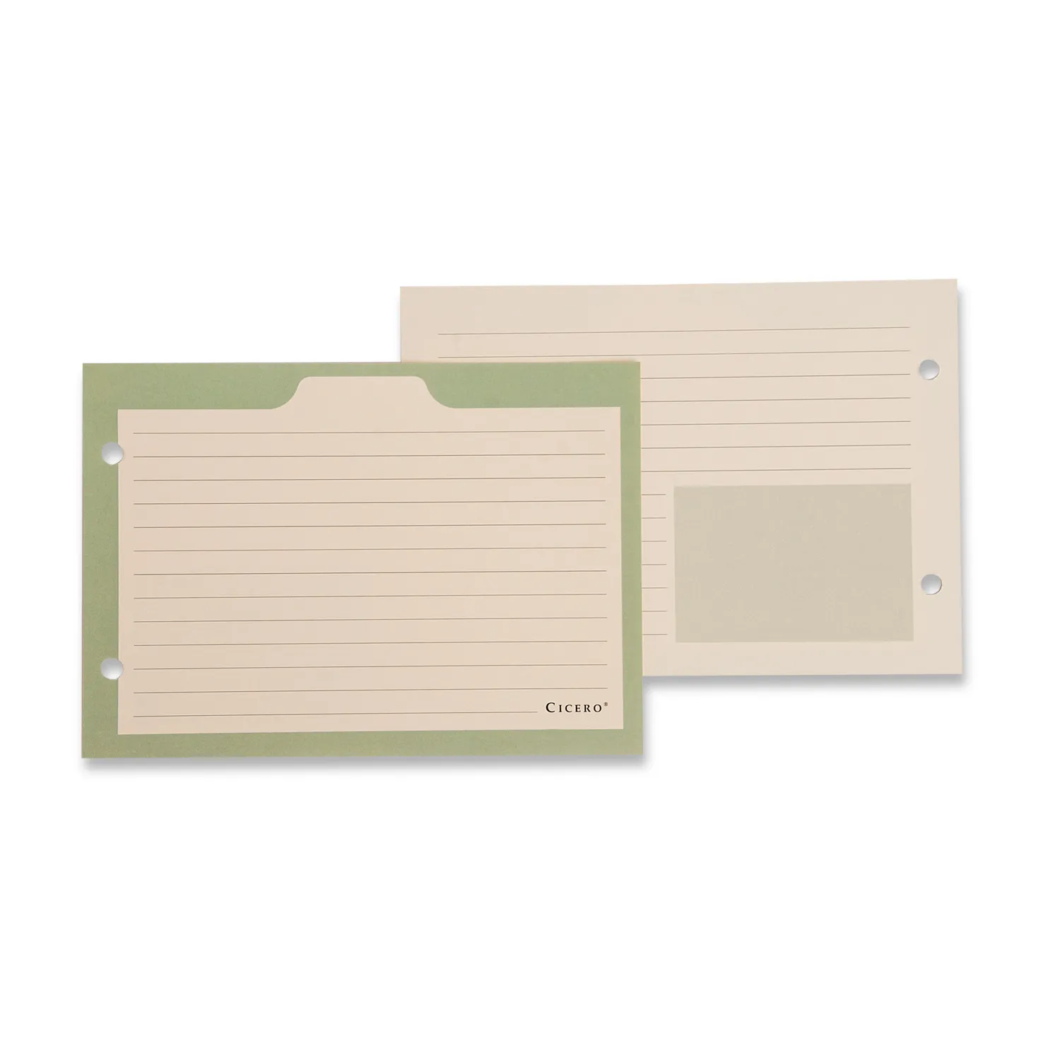 Ficha Pautada Caderno Organizador 50 FLS Offset 180g