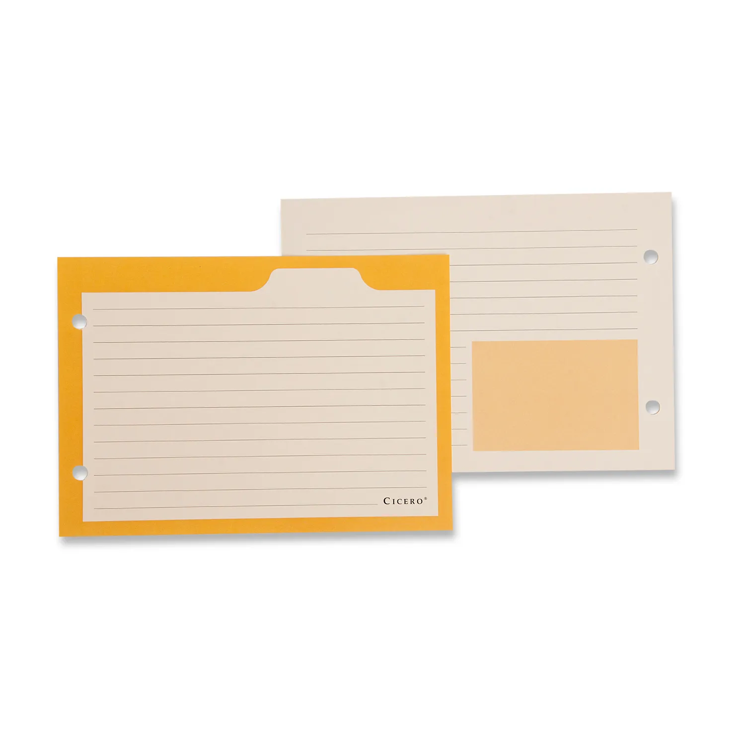 Ficha Pautada Caderno Organizador 50 FLS Offset 180g