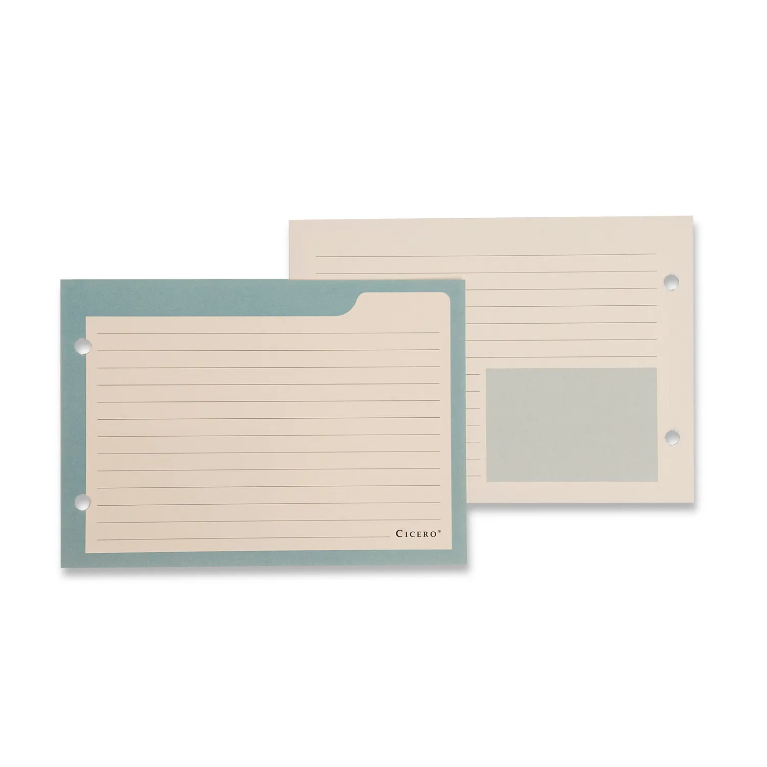 Ficha Pautada Caderno Organizador 50 FLS Offset 180g
