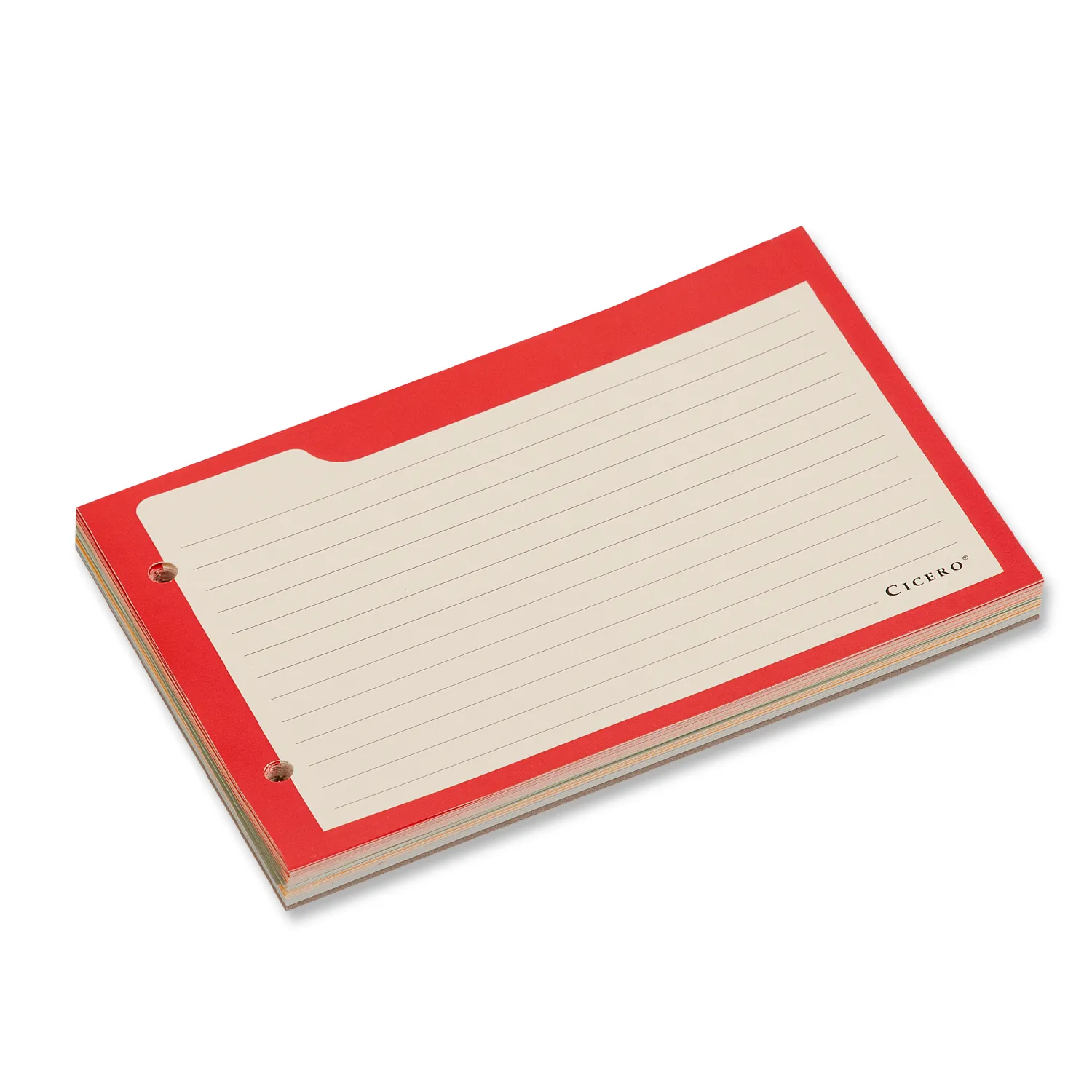 Ficha Pautada Caderno Organizador 50 FLS Offset 180g