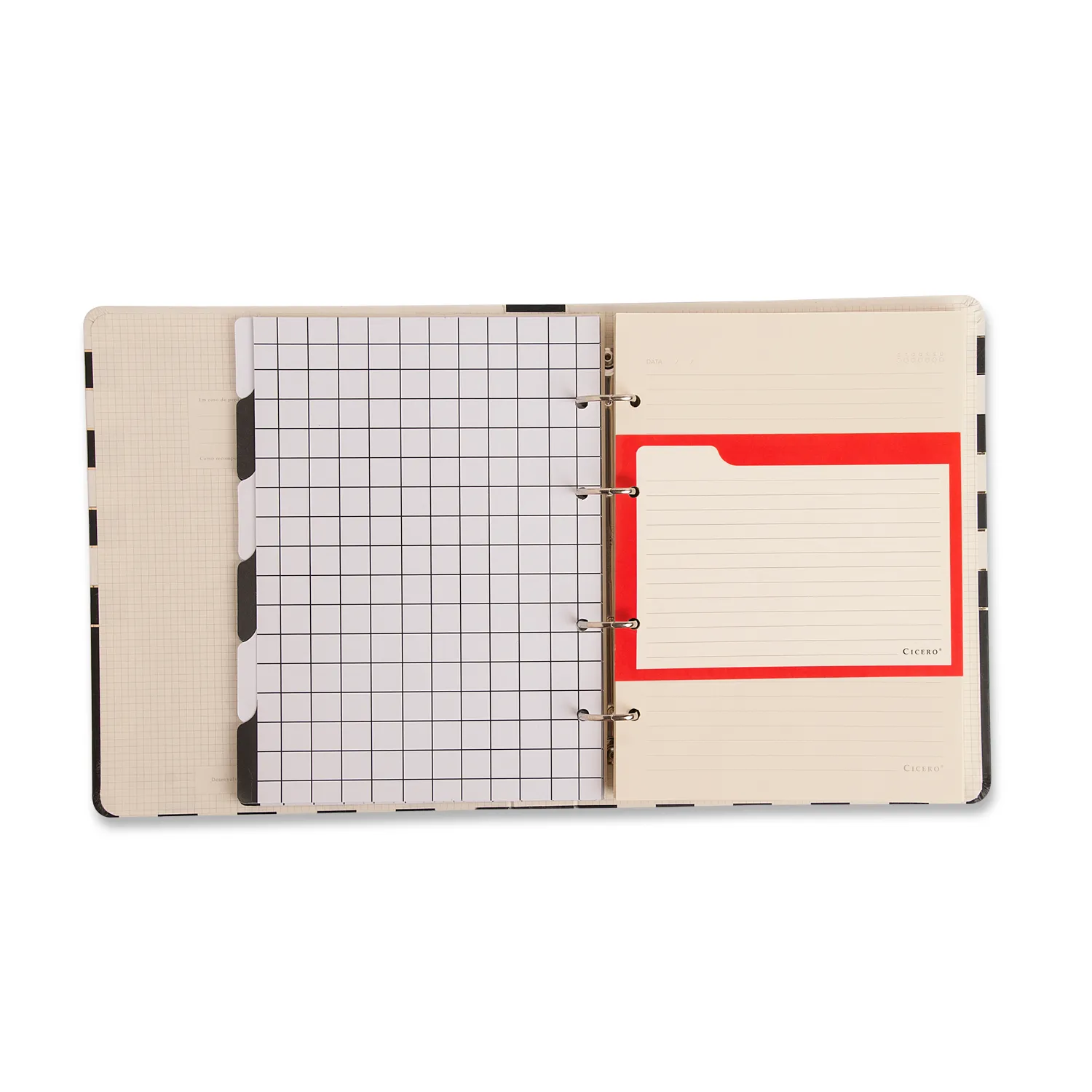 Ficha Pautada Caderno Organizador 50 FLS Offset 180g