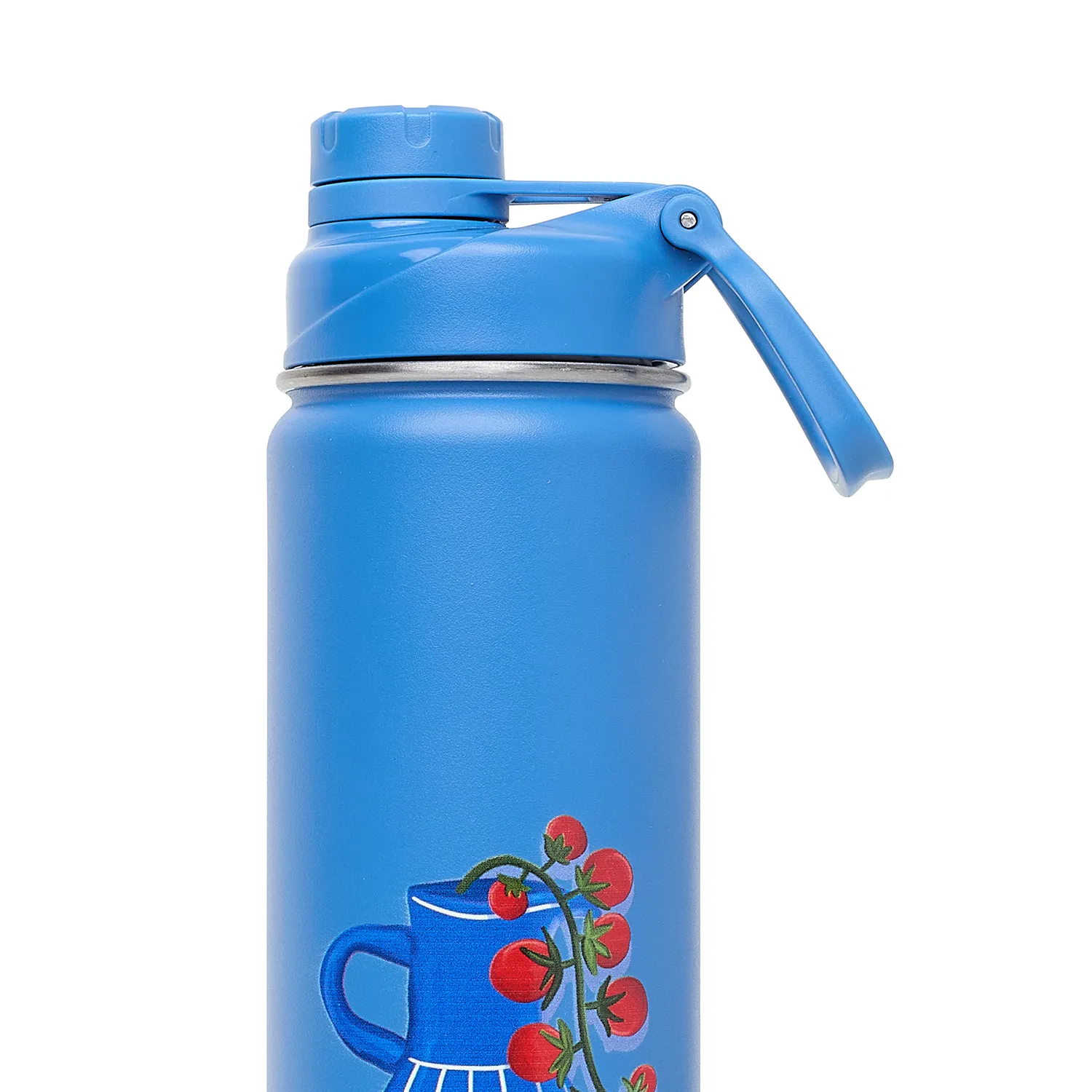 Garrafa Cicero + Kouda Ladakh 660ml 10368 Azul Frutare Arranjo