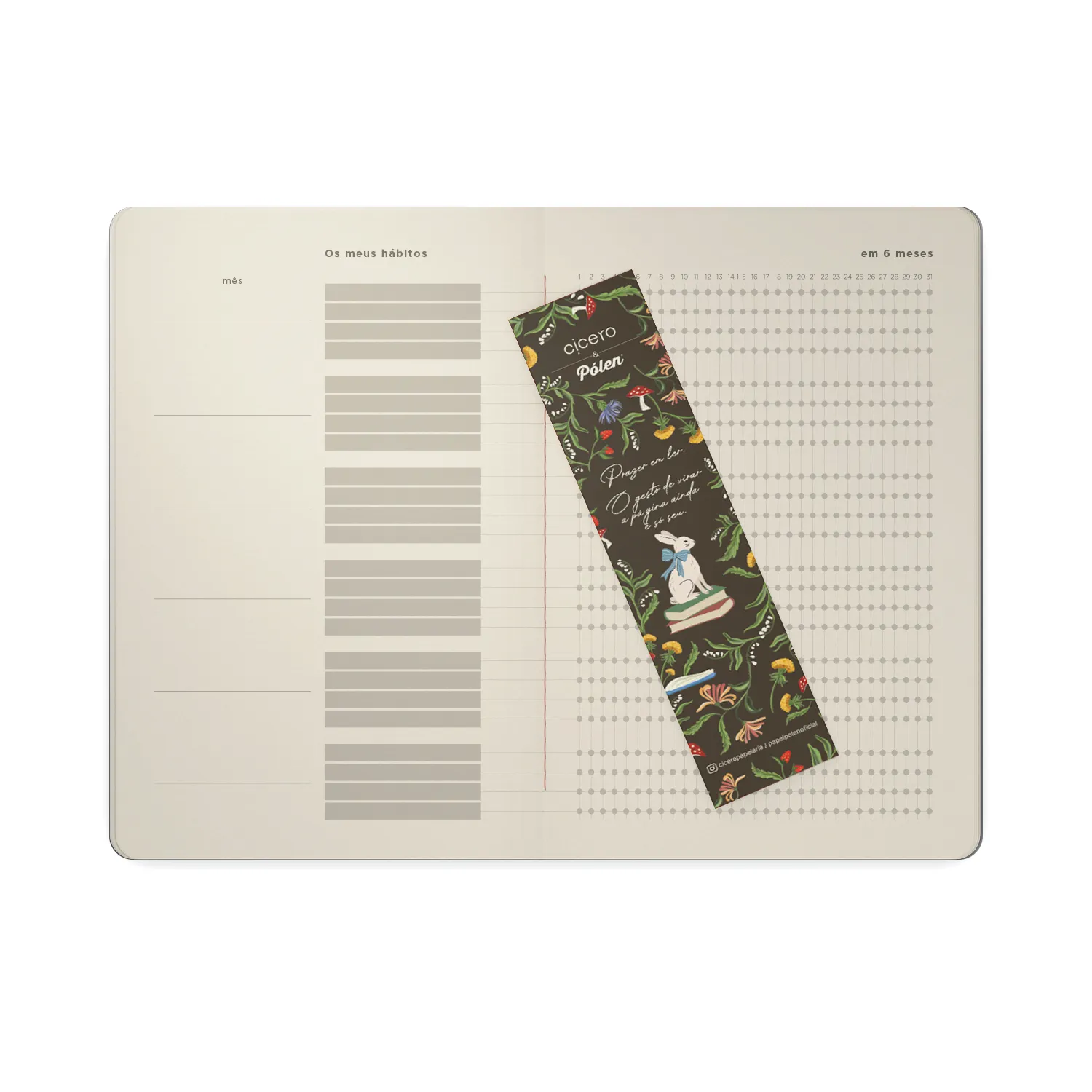 Kit 2 +1 - dois planners e um pontado Prazer em Planejar Kit 3 unidades 14x21 Cicero & Pólen Fábulas