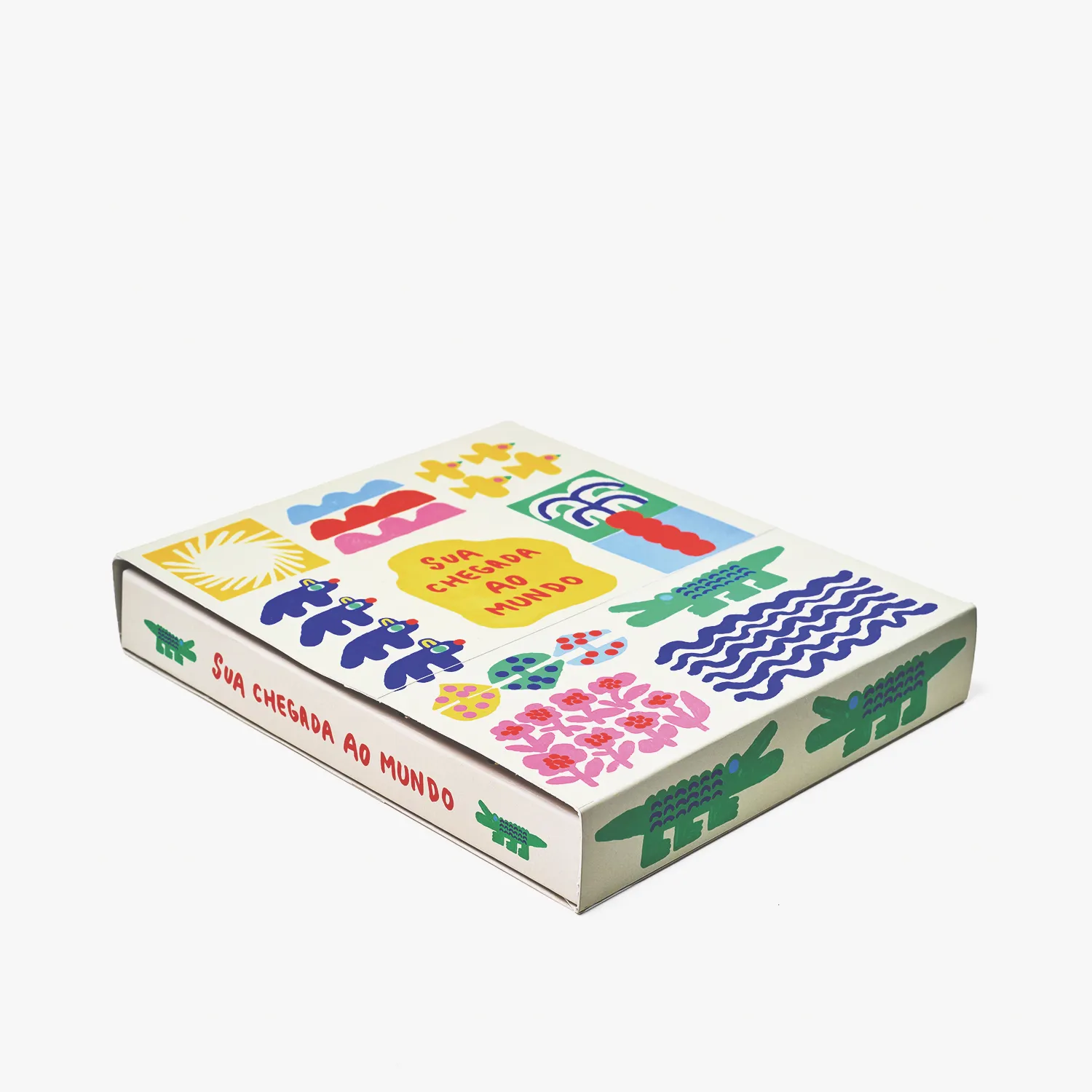 Livro Álbum Argolado do Bebê 18x24 Cicero & Fábula