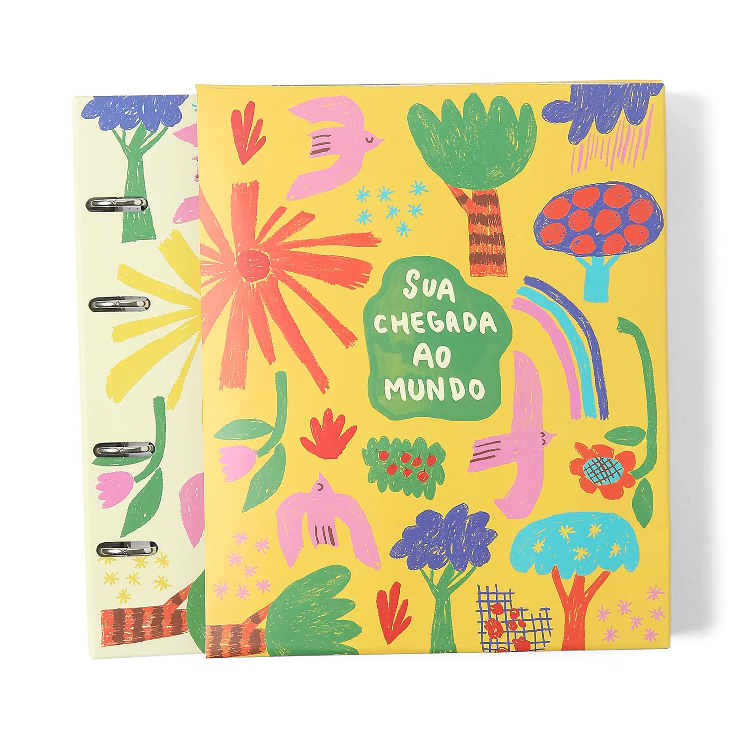 Livro Álbum Argoladodo Bebê 18x24 Cicero® & Fábula Alegrinha