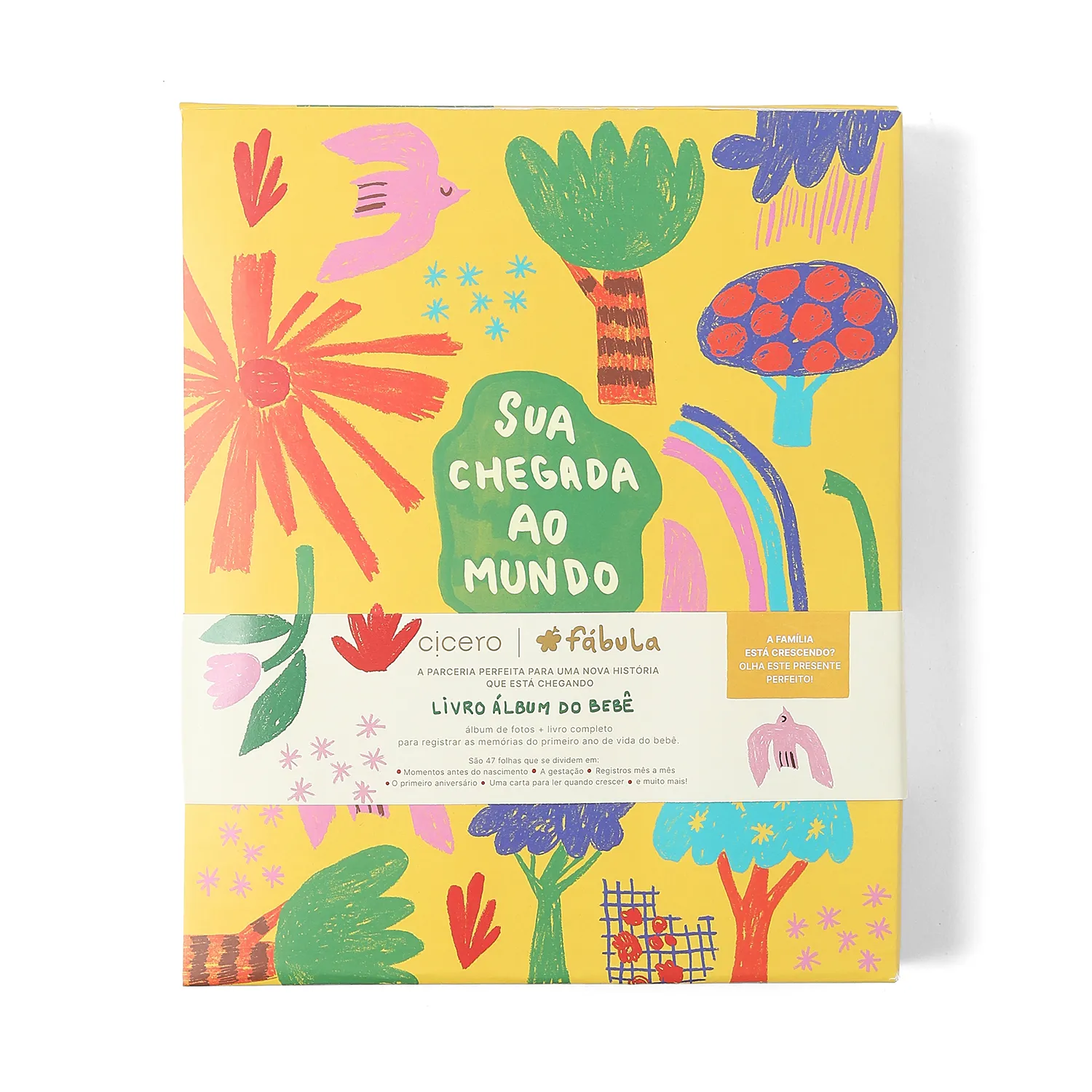 Livro Álbum Argoladodo Bebê 18x24 Cicero® & Fábula Alegrinha