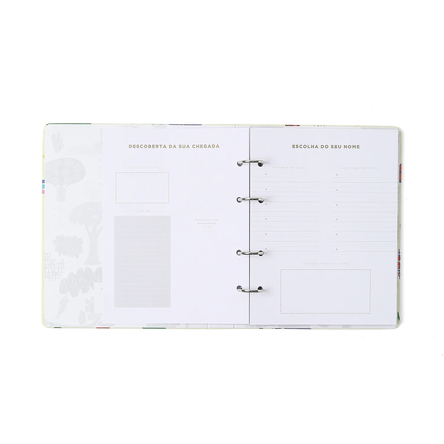 Livro Álbum Argoladodo Bebê 18x24 Cicero® & Fábula Alegrinha