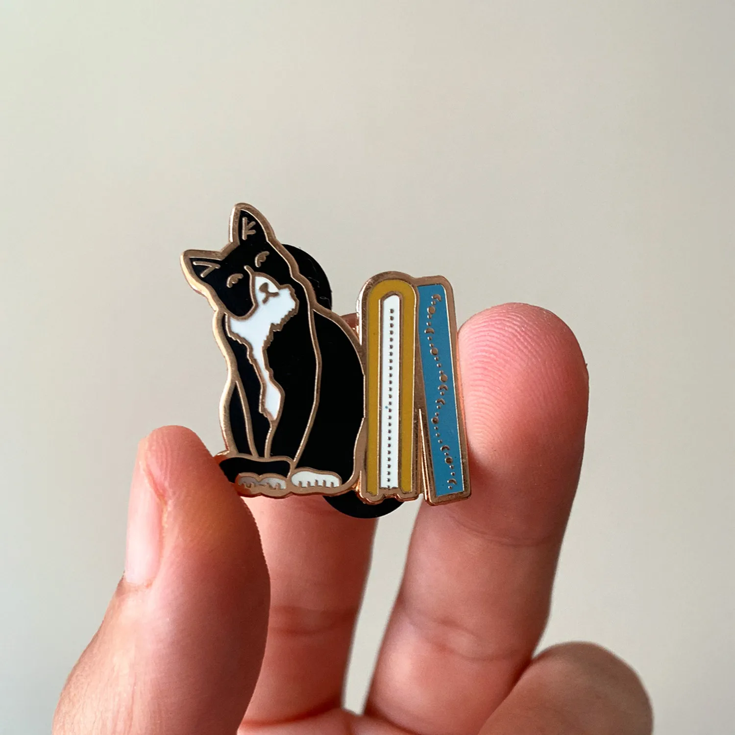 PIN CICERO GATO PRETO