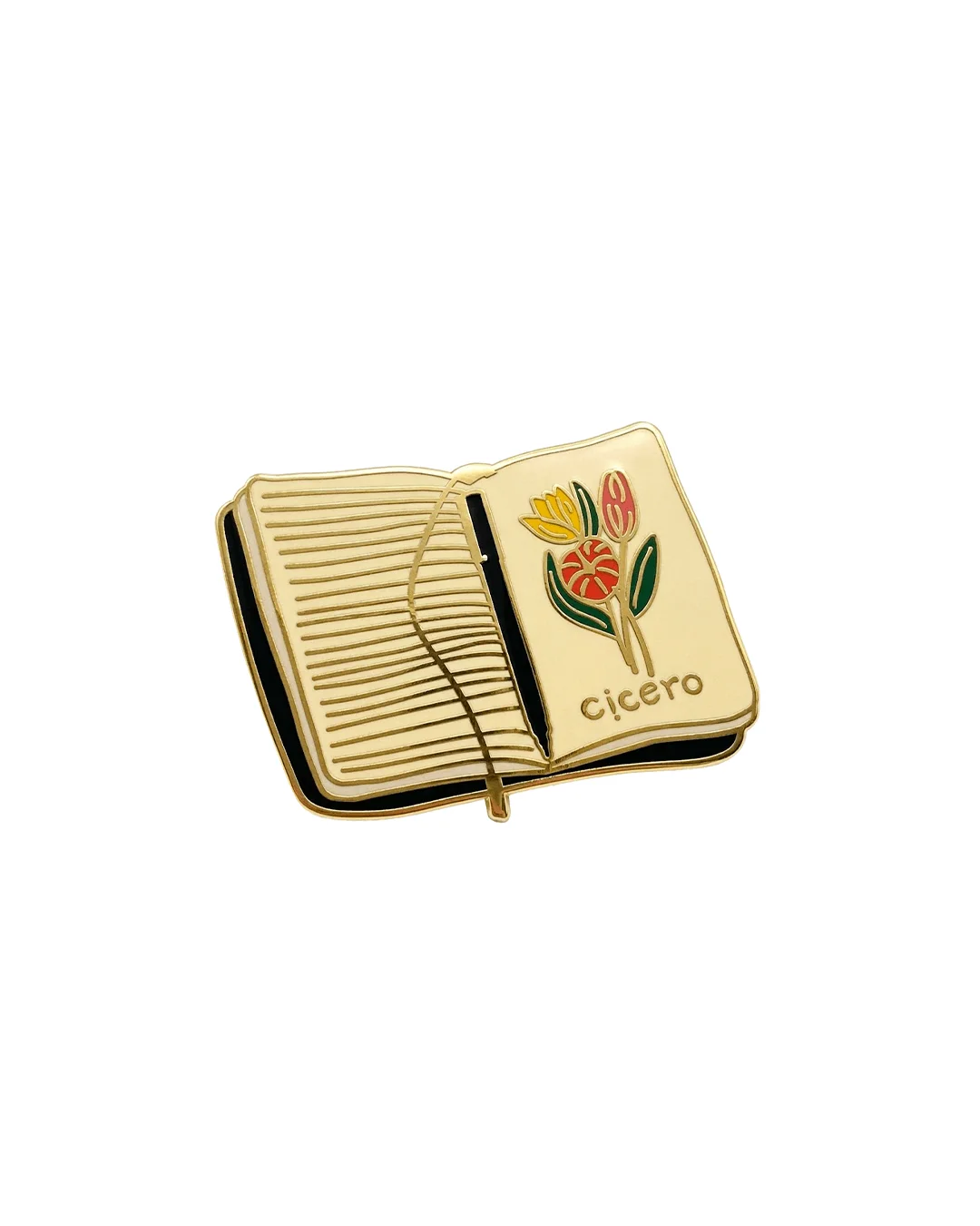 Pin Cicero Caderneta