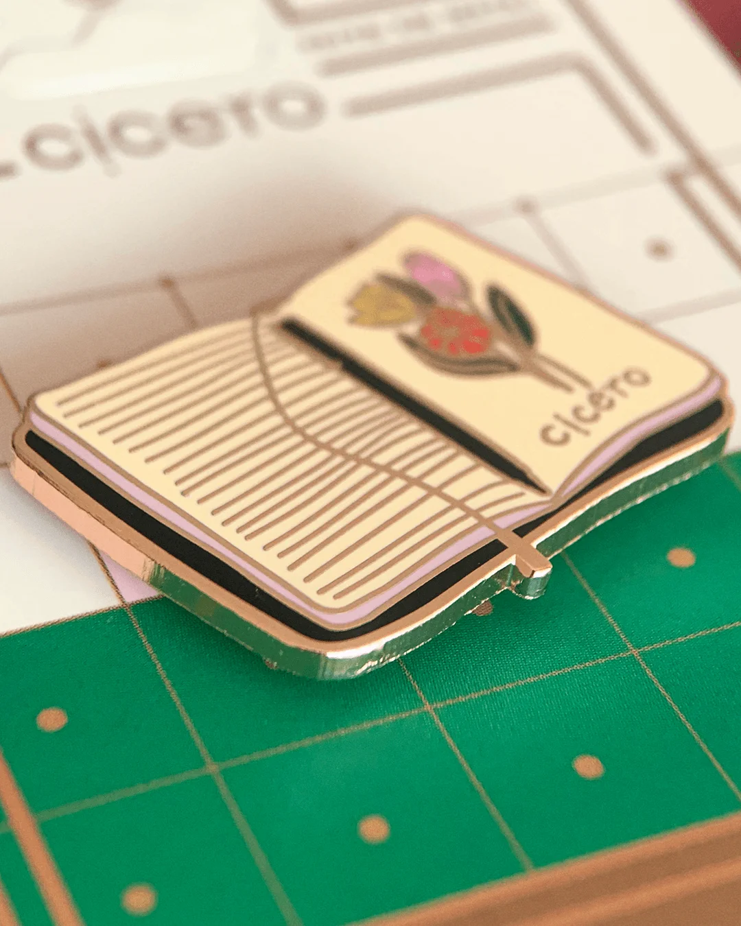 Pin Cicero Caderneta