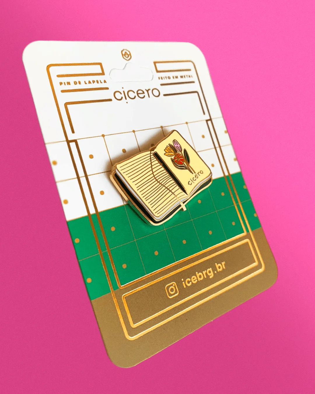 Pin Cicero Caderneta