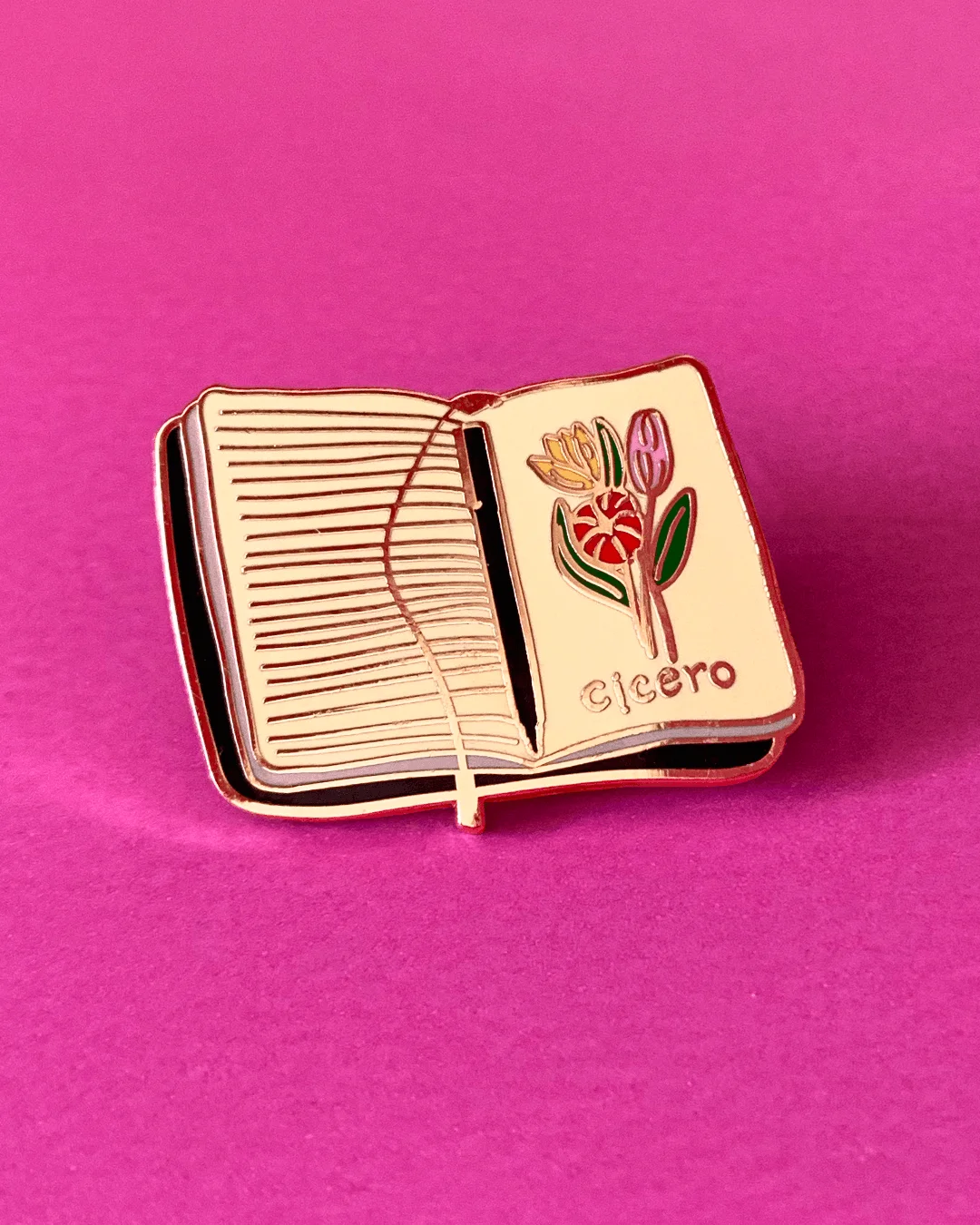 Pin Cicero Caderneta