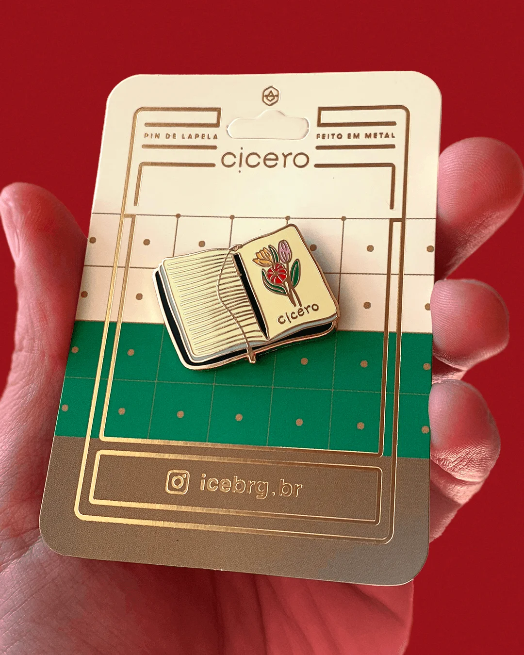 Pin Cicero Caderneta
