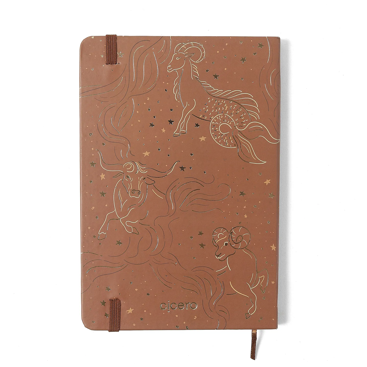 Planner Permanente Caderneta Origens 14x21 Terra