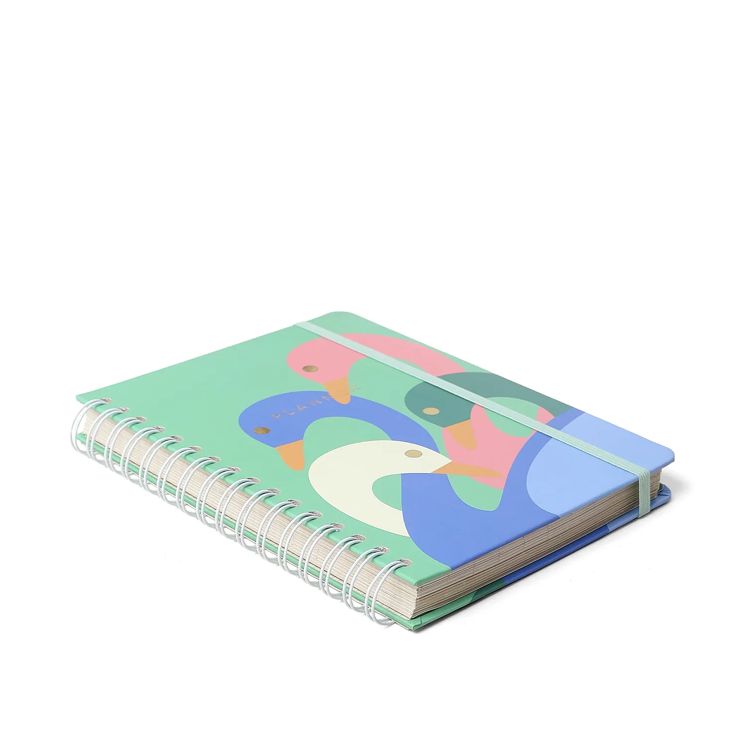 Planner Permanente Wire-O Lagoa Semanal Notas A5 Pedalinho