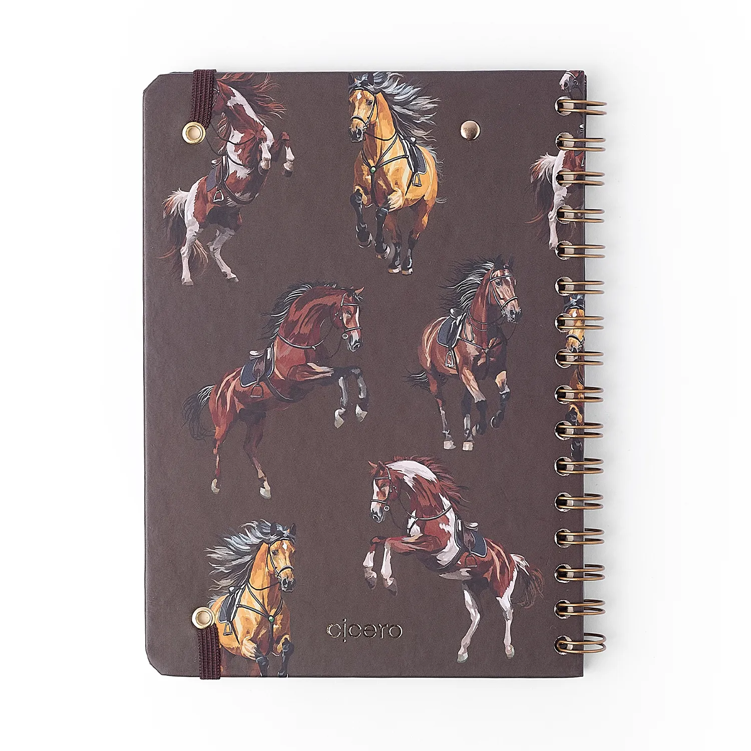 Planner Permanente Wire-o Haras Financeiro A5 Alazão