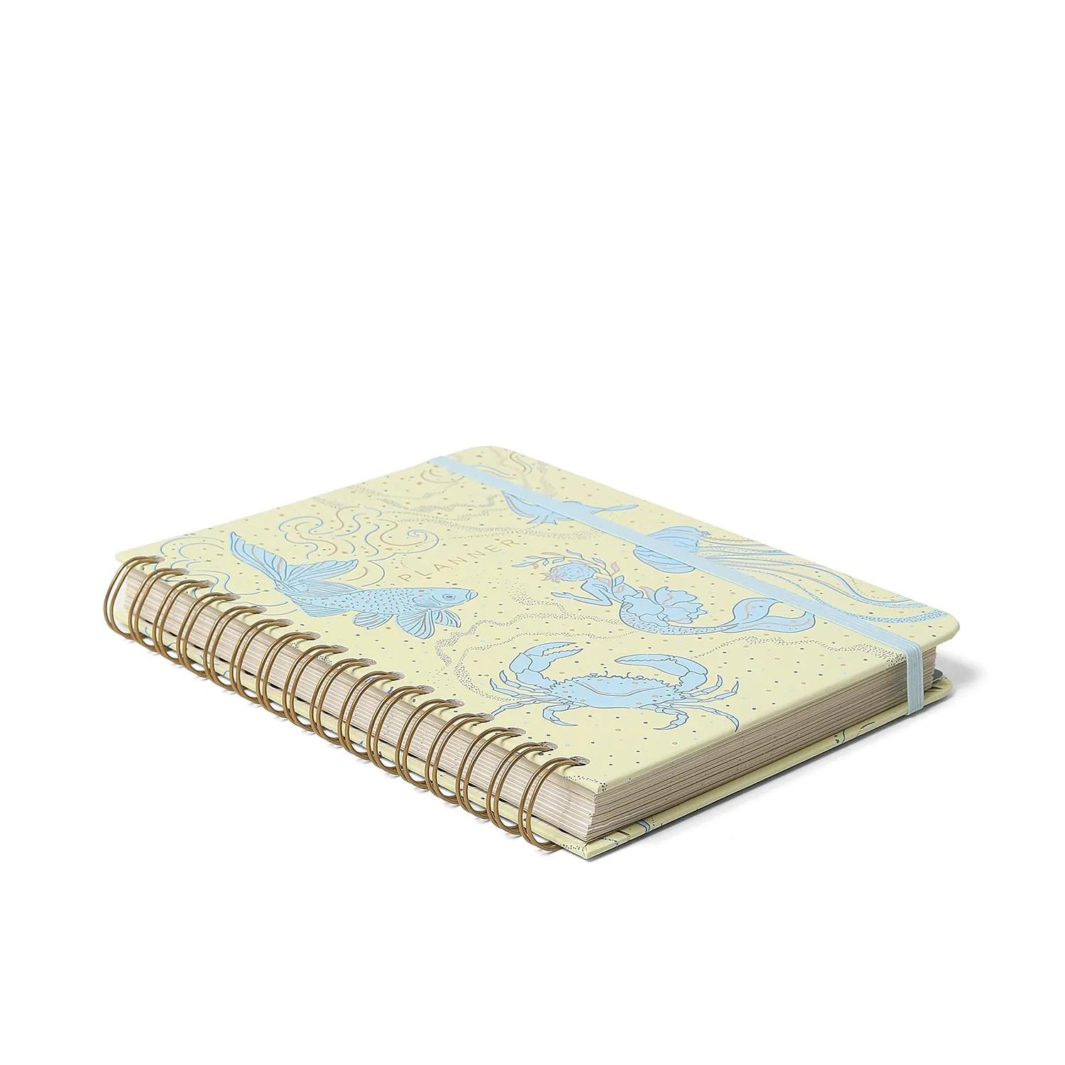 Planner Permanente Wire-o Origens Semanal Notas A5 Áqua Off White