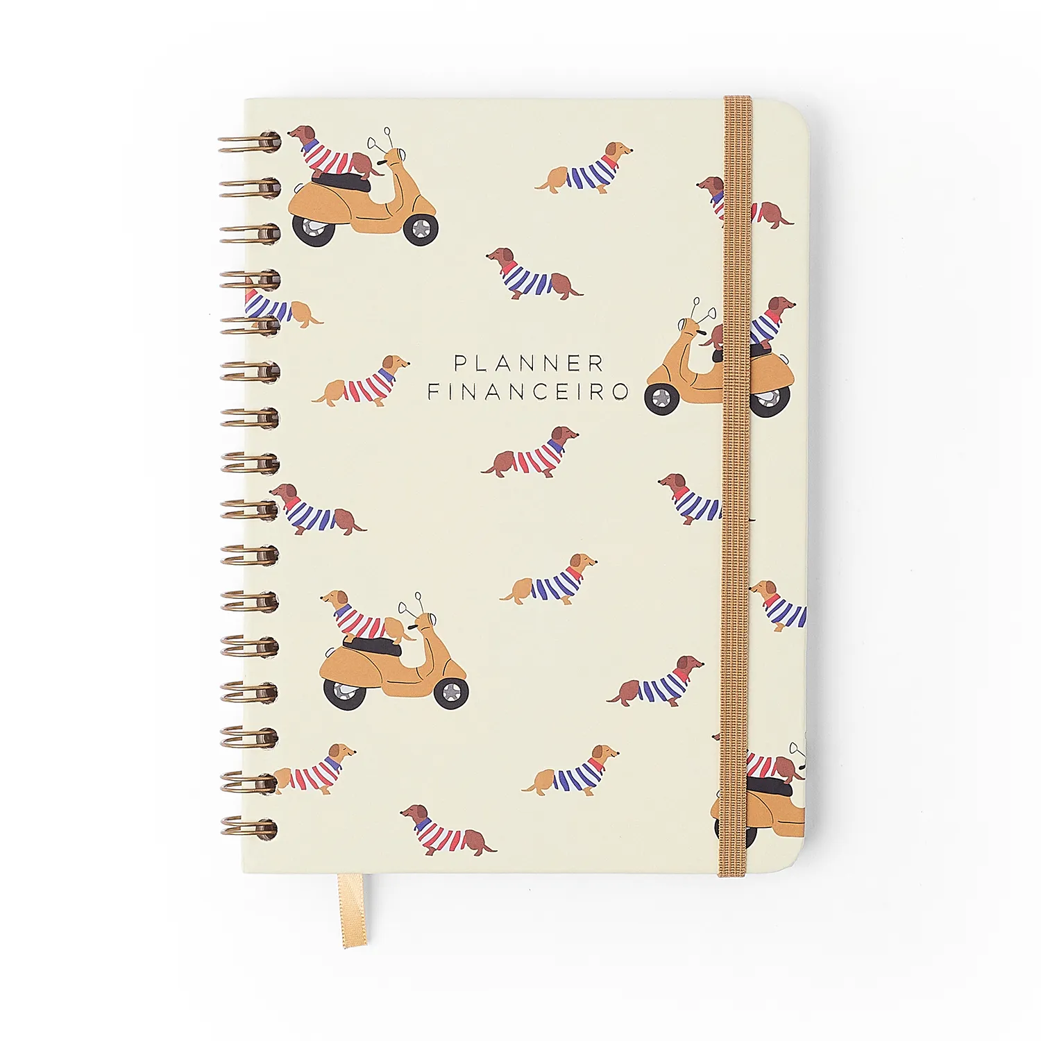 Planner Permanente Wire-o Petit Financeiro A5 Lambreta