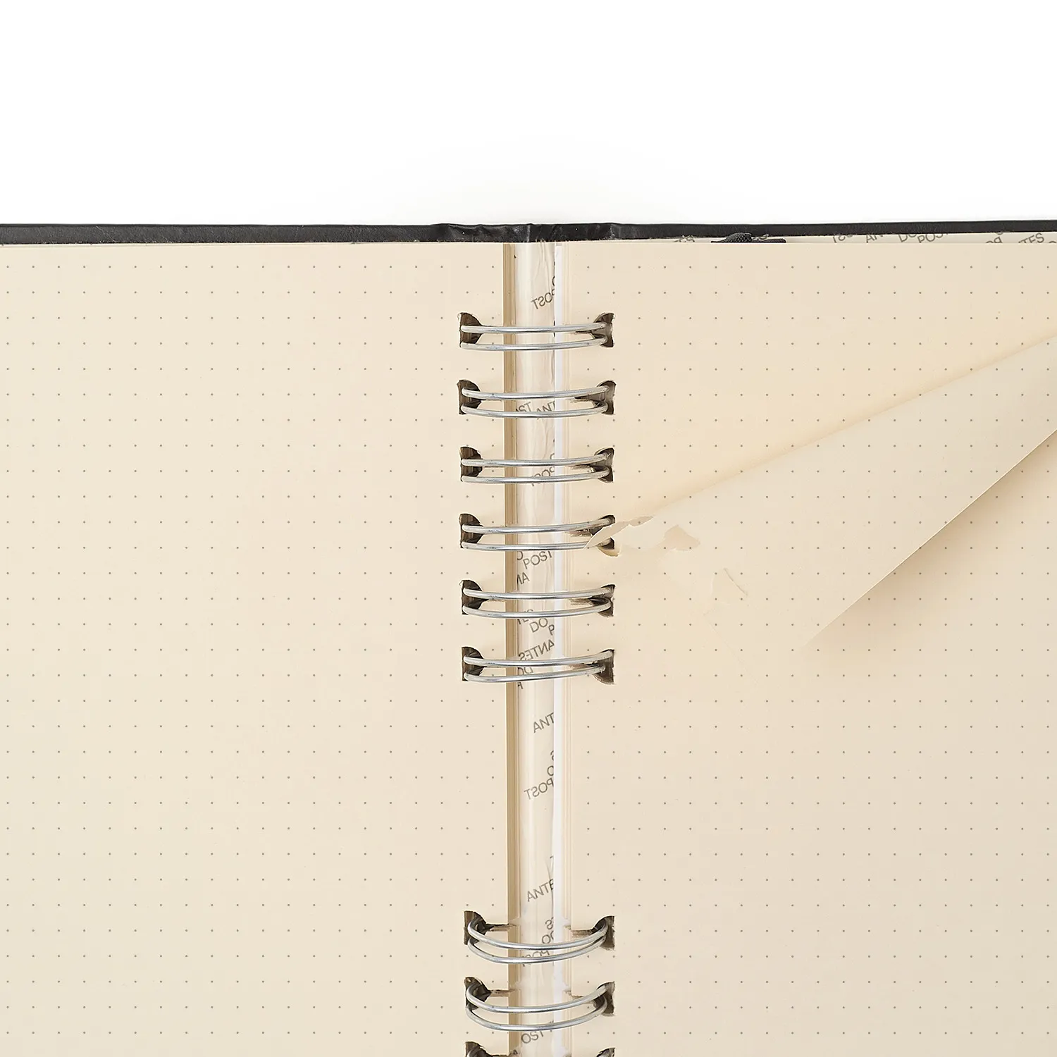 Planner do Creator A5 Cicero + Messs Roxo