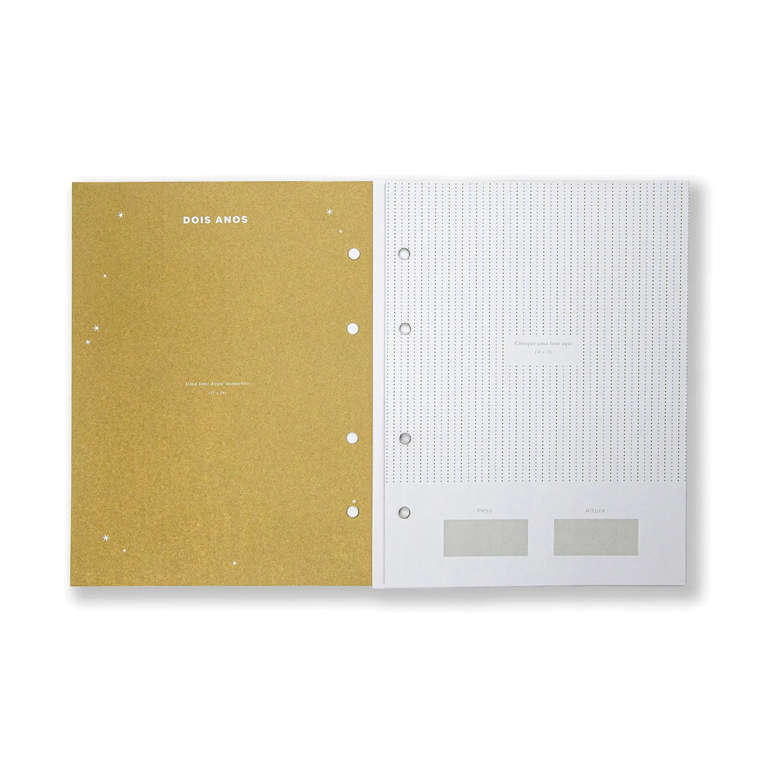 Refil Caderno Álbum do Bebê Argolado 11 FLS Offset 150g 18x24
