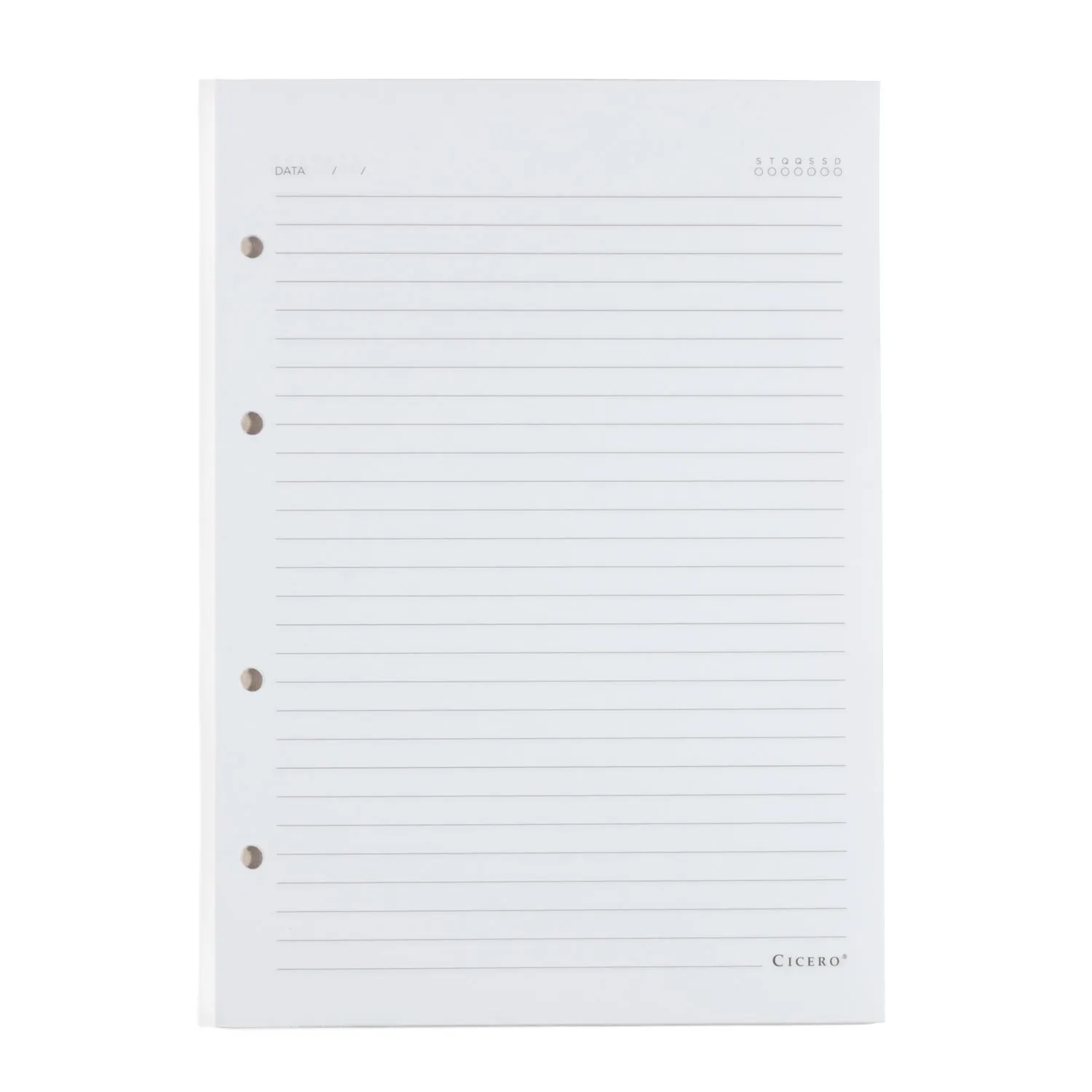 Refil Caderno Argolado 40FLS - Offset 90g 17x24 Pautado