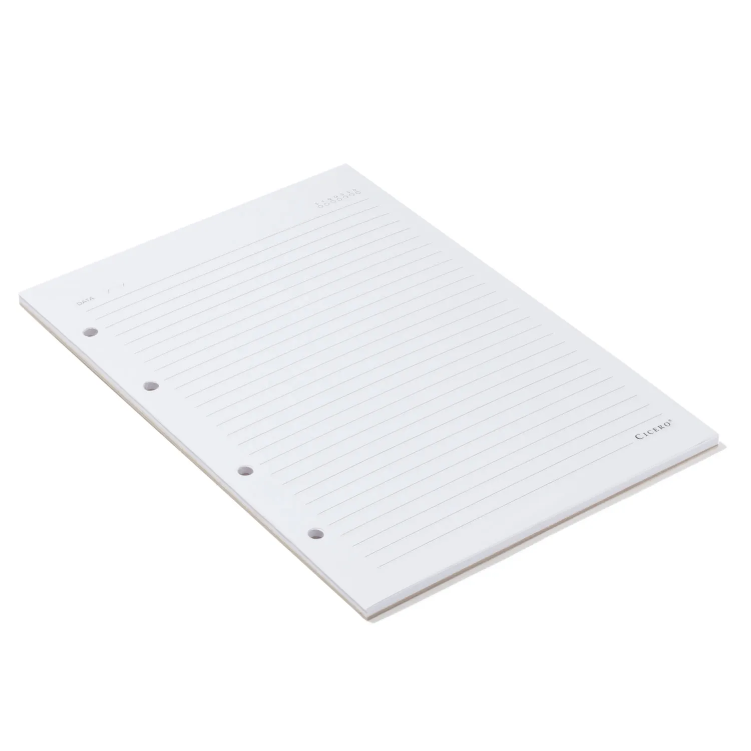 Refil Caderno Argolado 40FLS - Offset 90g 17x24 Pautado